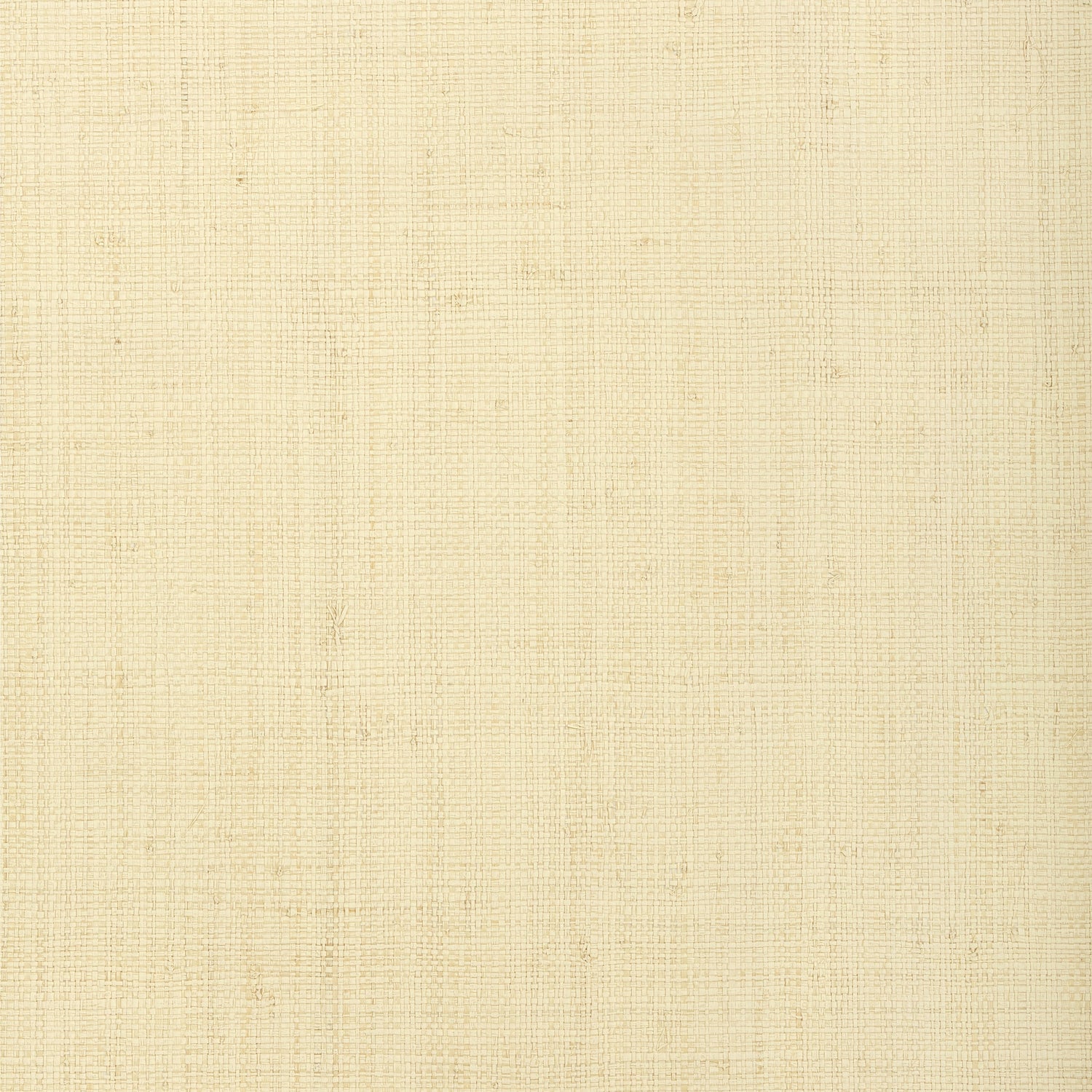 Provincial Weave wallpaper in cream color - pattern number T72877 - by Thibaut in the Grasscloth Resource Volume 4 collection