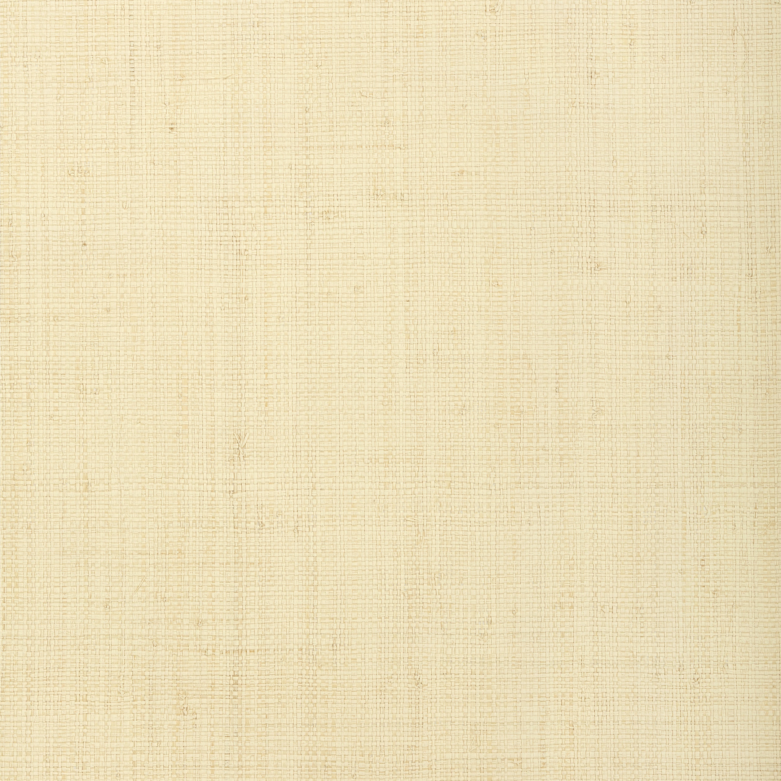 Provincial Weave wallpaper in cream color - pattern number T72877 - by Thibaut in the Grasscloth Resource Volume 4 collection