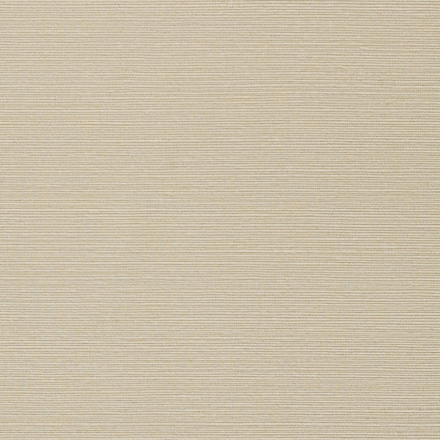 Taluk Sisal fabric in light taupe color - pattern number T75146 - by Thibaut in the Faux Resource collection