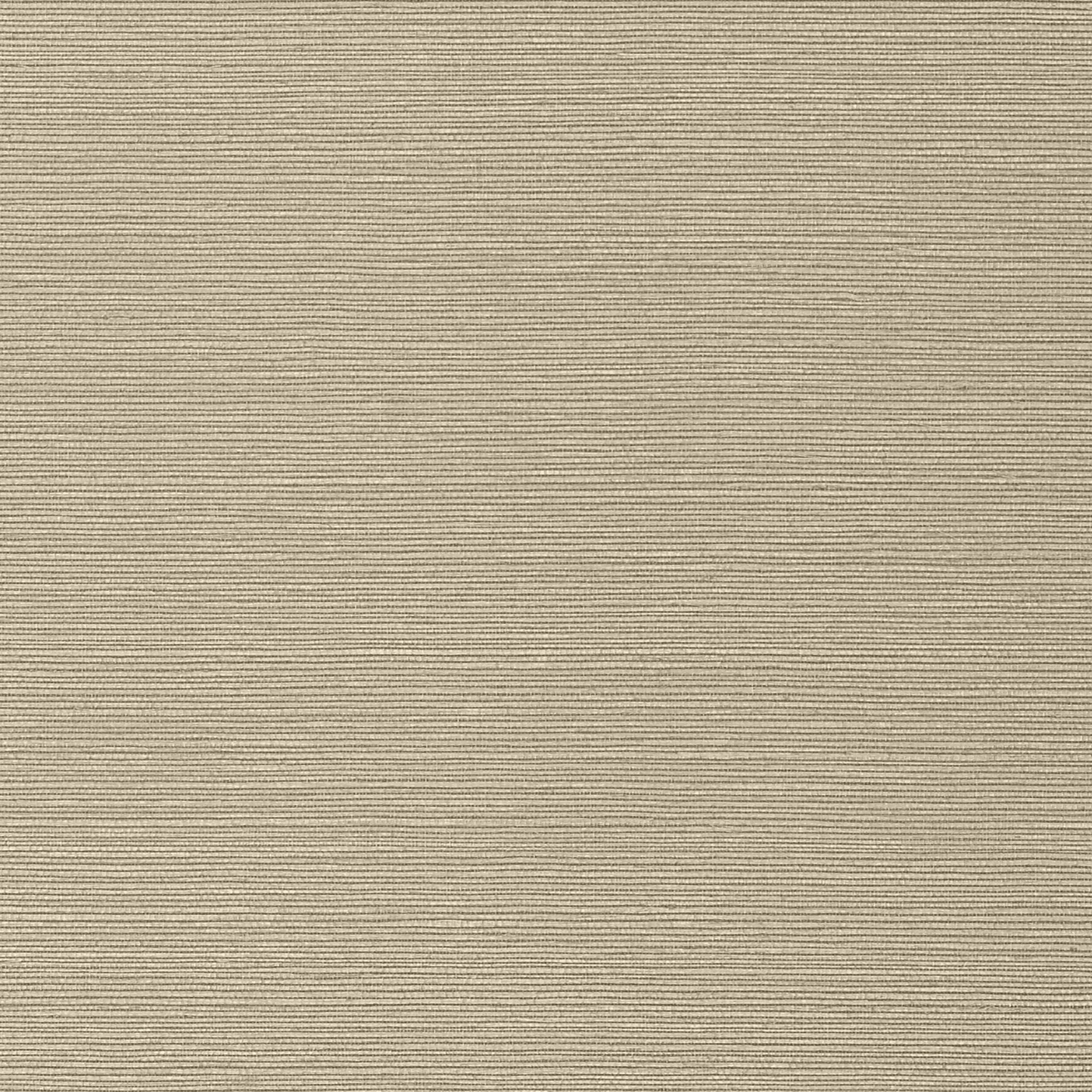 Taluk Sisal fabric in mushroom color - pattern number T75147 - by Thibaut in the Faux Resource collection