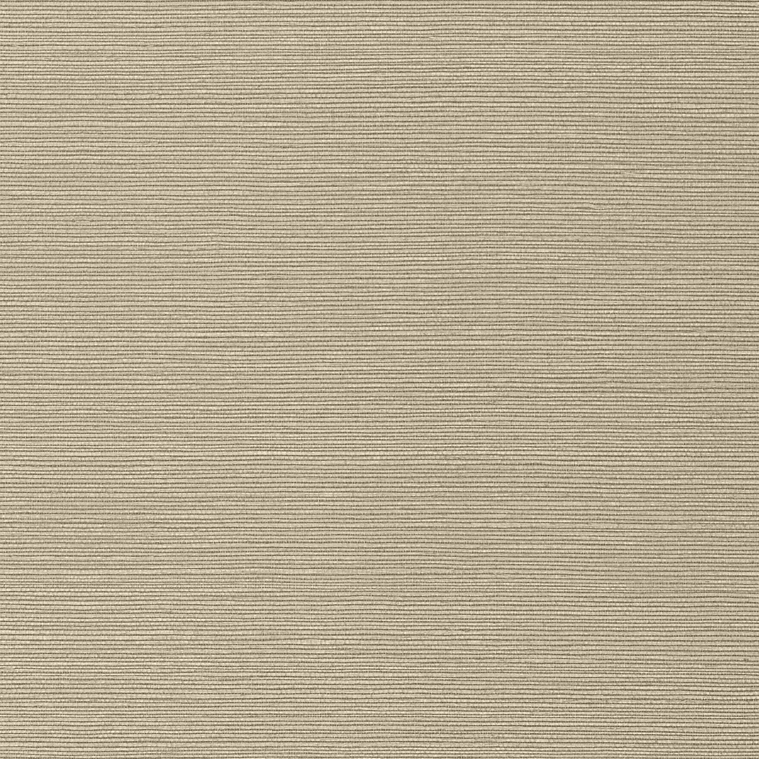 Taluk Sisal wallpaper in mushroom color - pattern number T75147 - by Thibaut in the Texture Resource Volume 9 collection