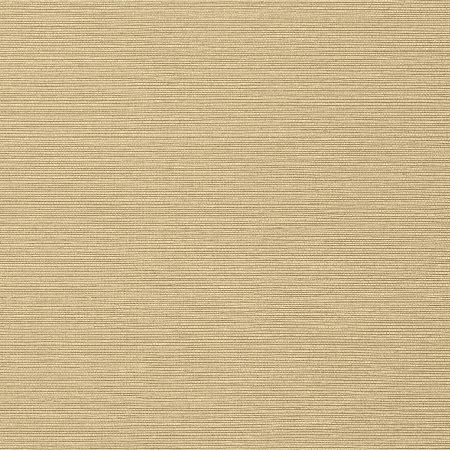 Taluk Sisal fabric in sand color - pattern number T75148 - by Thibaut in the Faux Resource collection