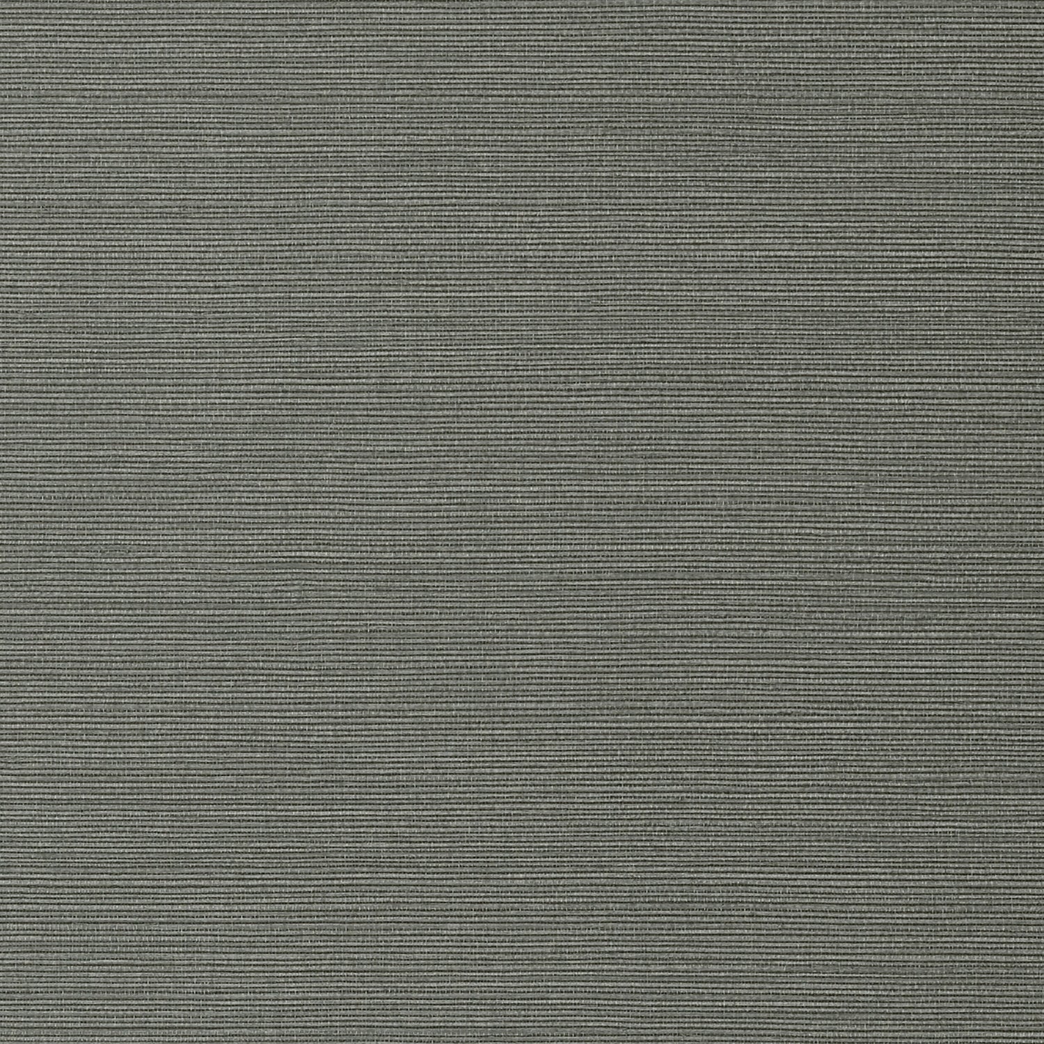 Taluk Sisal fabric in charcoal color - pattern number T75151 - by Thibaut in the Faux Resource collection