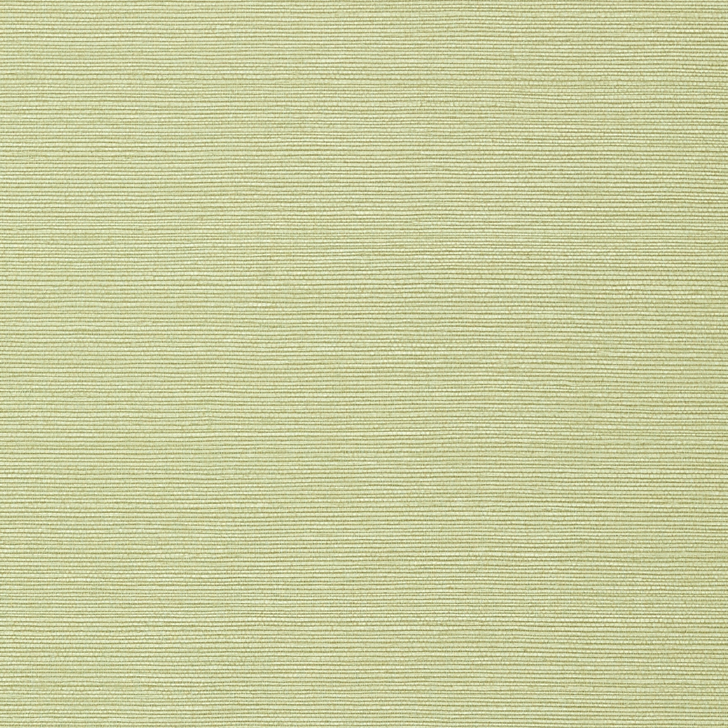 Taluk Sisal fabric in willow color - pattern number T75153 - by Thibaut in the Faux Resource collection