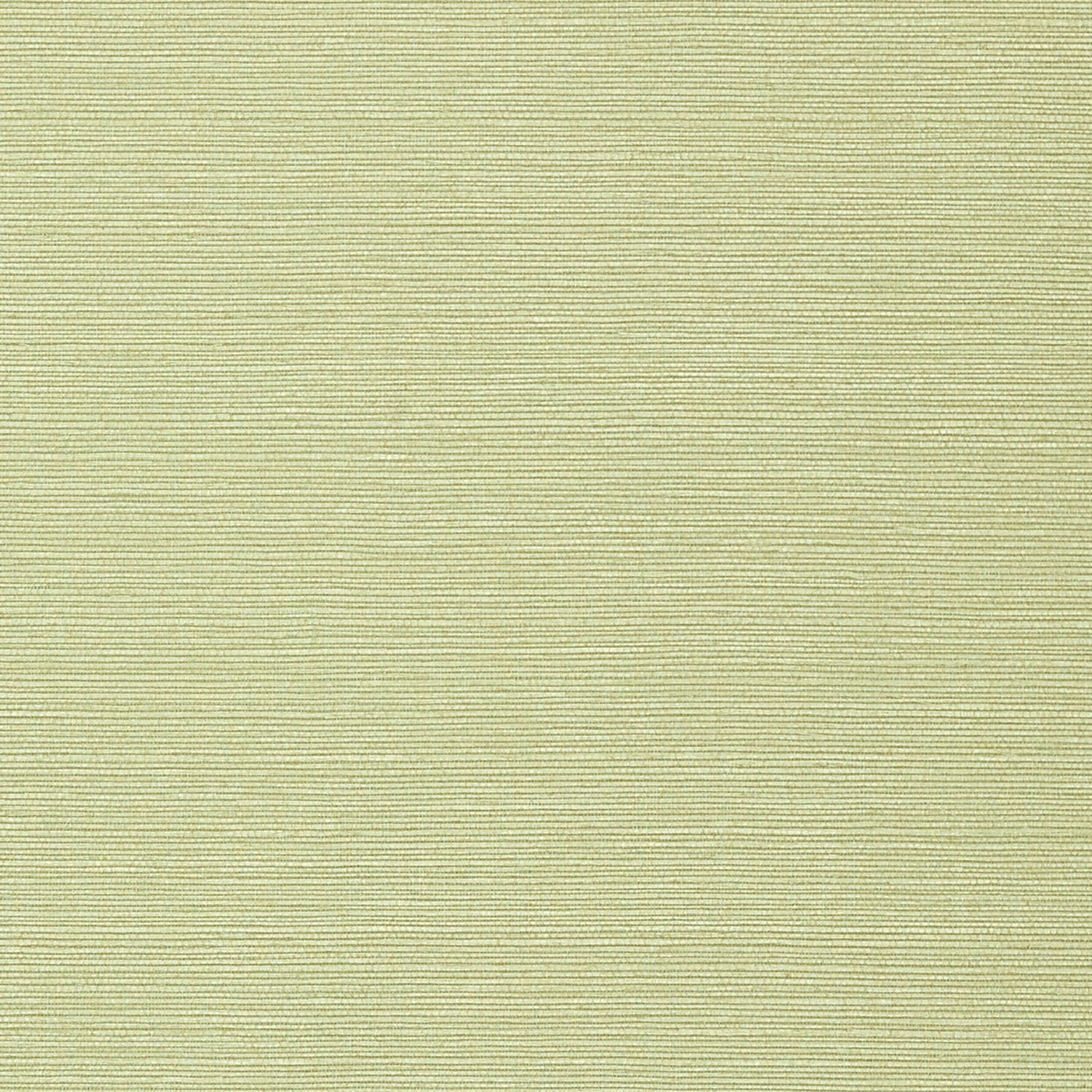 Taluk Sisal wallpaper in willow color - pattern number T75153 - by Thibaut in the Texture Resource Volume 9 collection
