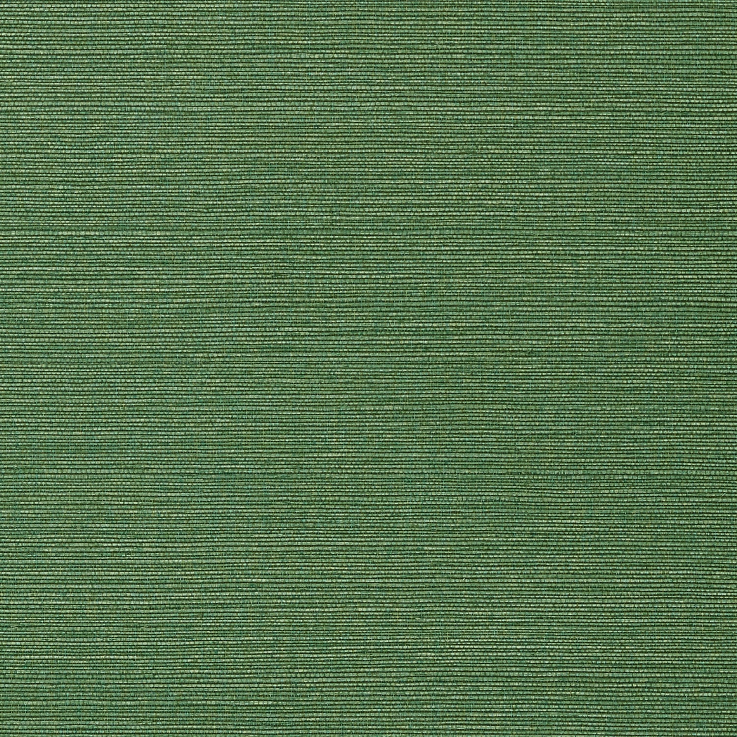 Taluk Sisal wallpaper in green color - pattern number T75154 - by Thibaut in the Texture Resource Volume 9 collection