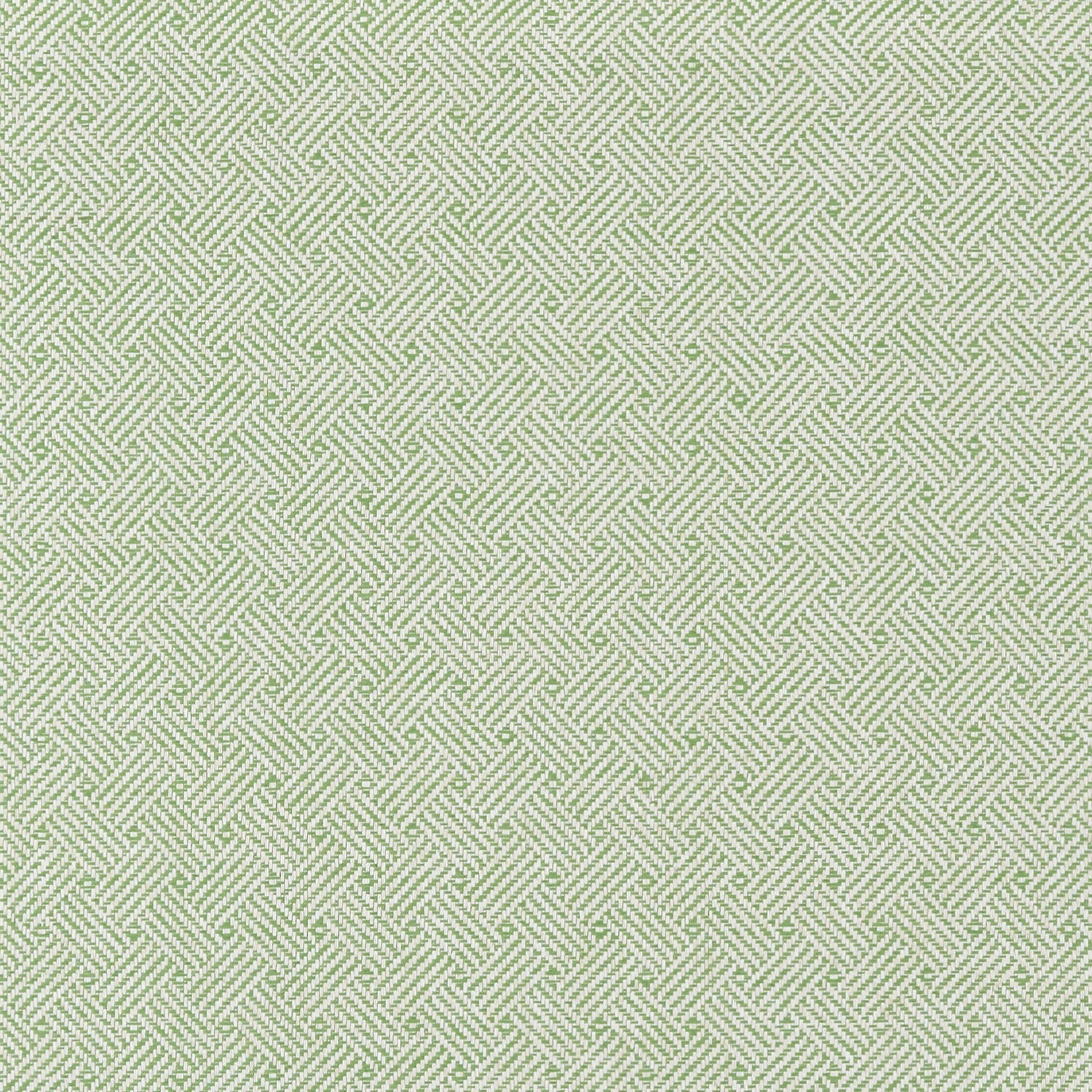 Lattice Weave fabric in green color - pattern number T75479 - by Thibaut in the Dynasty collection