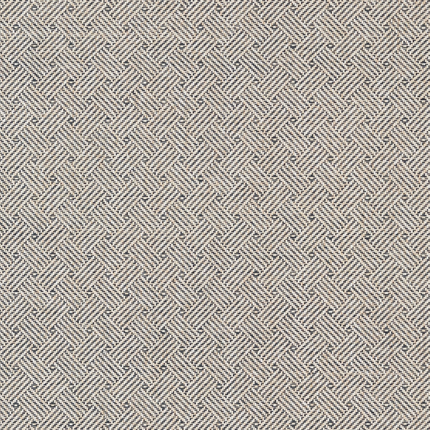Lattice Weave fabric in black color - pattern number T75480 - by Thibaut in the Dynasty collection