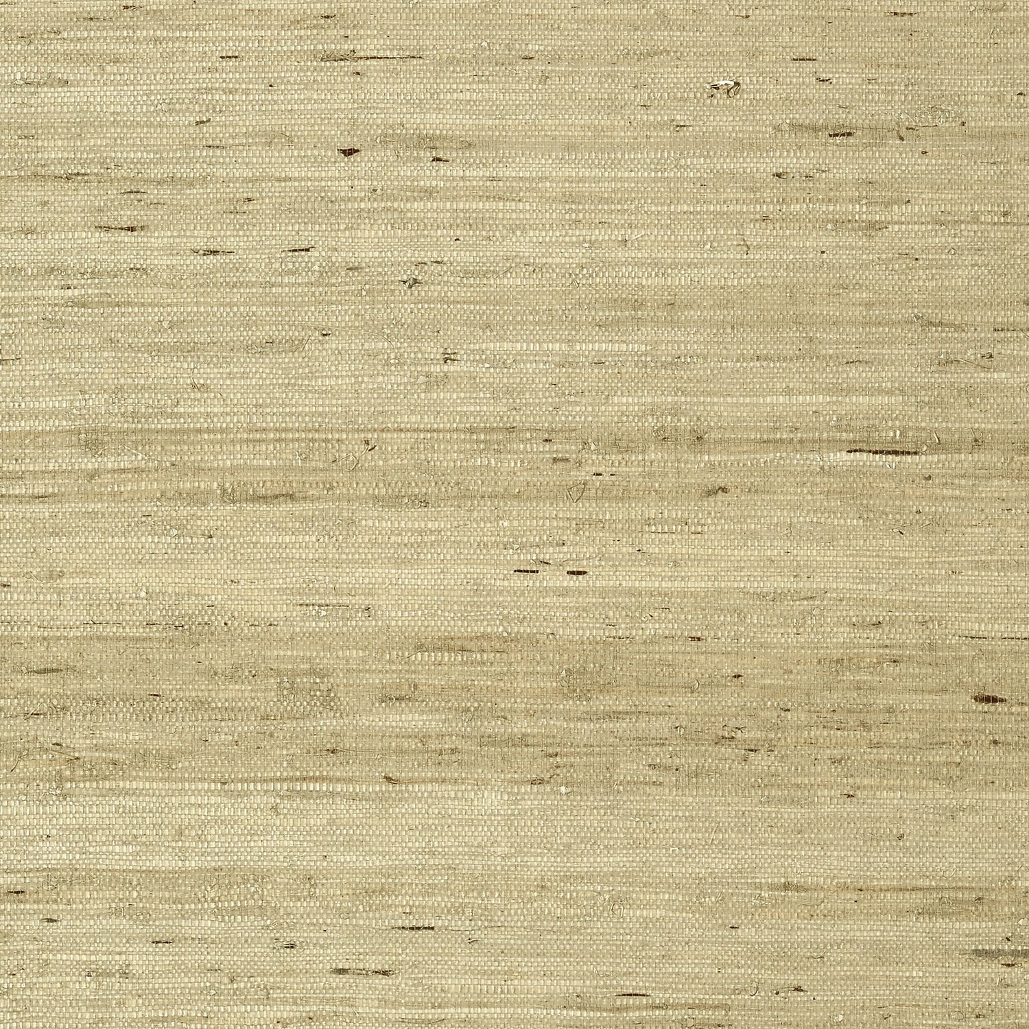 Maranta Arrowroot wallpaper in beige color - pattern number T85006 - by Thibaut in the Grasscloth Resource Volume 4 collection