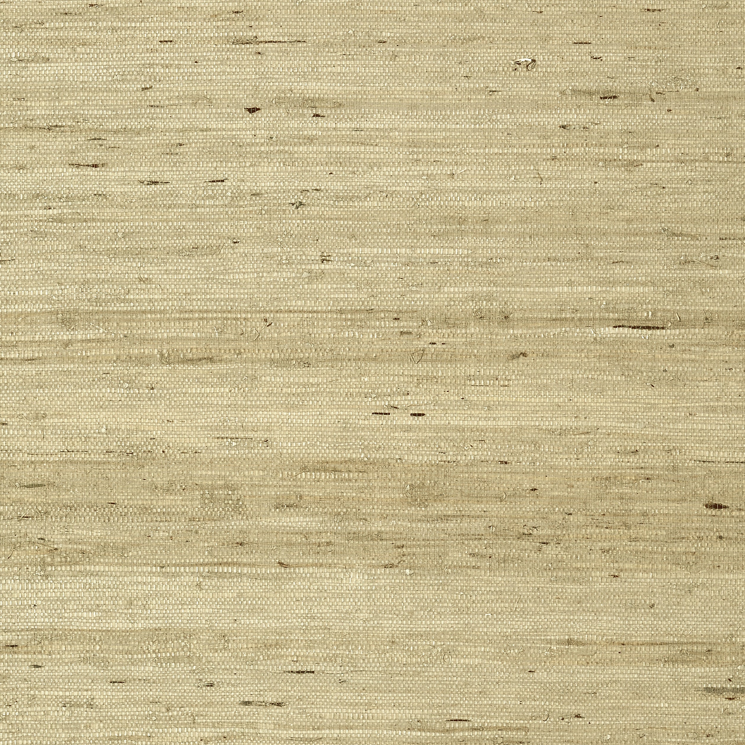 Maranta Arrowroot wallpaper in beige color - pattern number T85006 - by Thibaut in the Grasscloth Resource Volume 4 collection