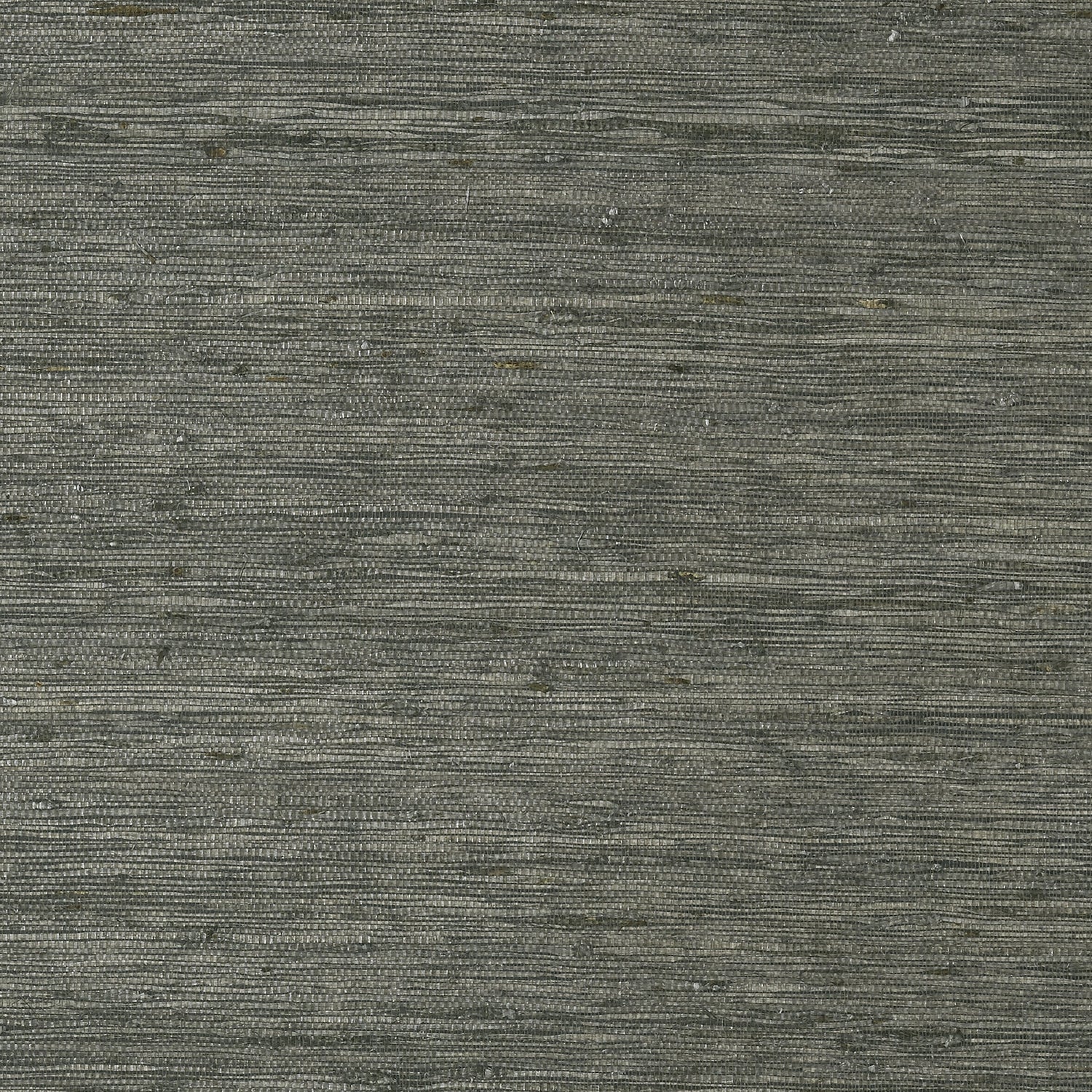 Maranta Arrowroot wallpaper in black color - pattern number T85009 - by Thibaut in the Grasscloth Resource Volume 4 collection