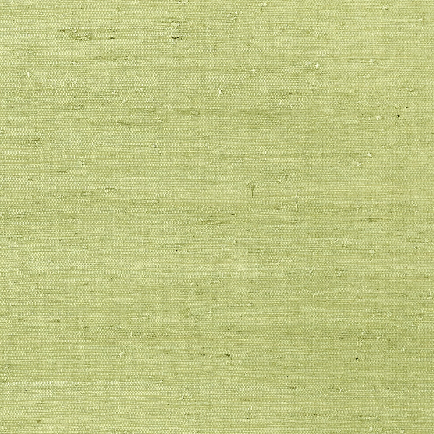 Maranta Arrowroot wallpaper in green color - pattern number T85012 - by Thibaut in the Grasscloth Resource Volume 4 collection
