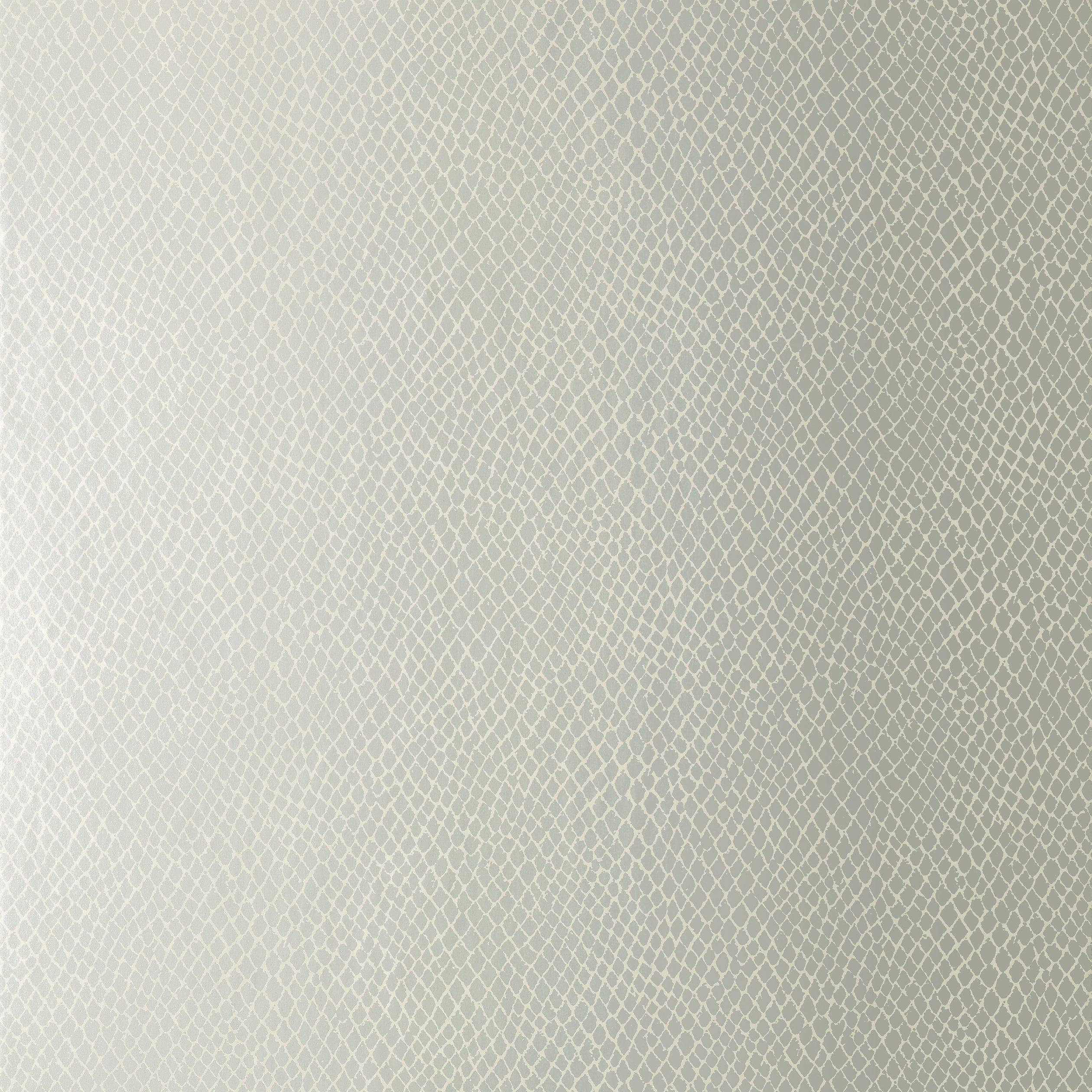 Yuma wallpaper in metallic silver color - pattern number T85067 - by Thibaut in the Greenwood collection