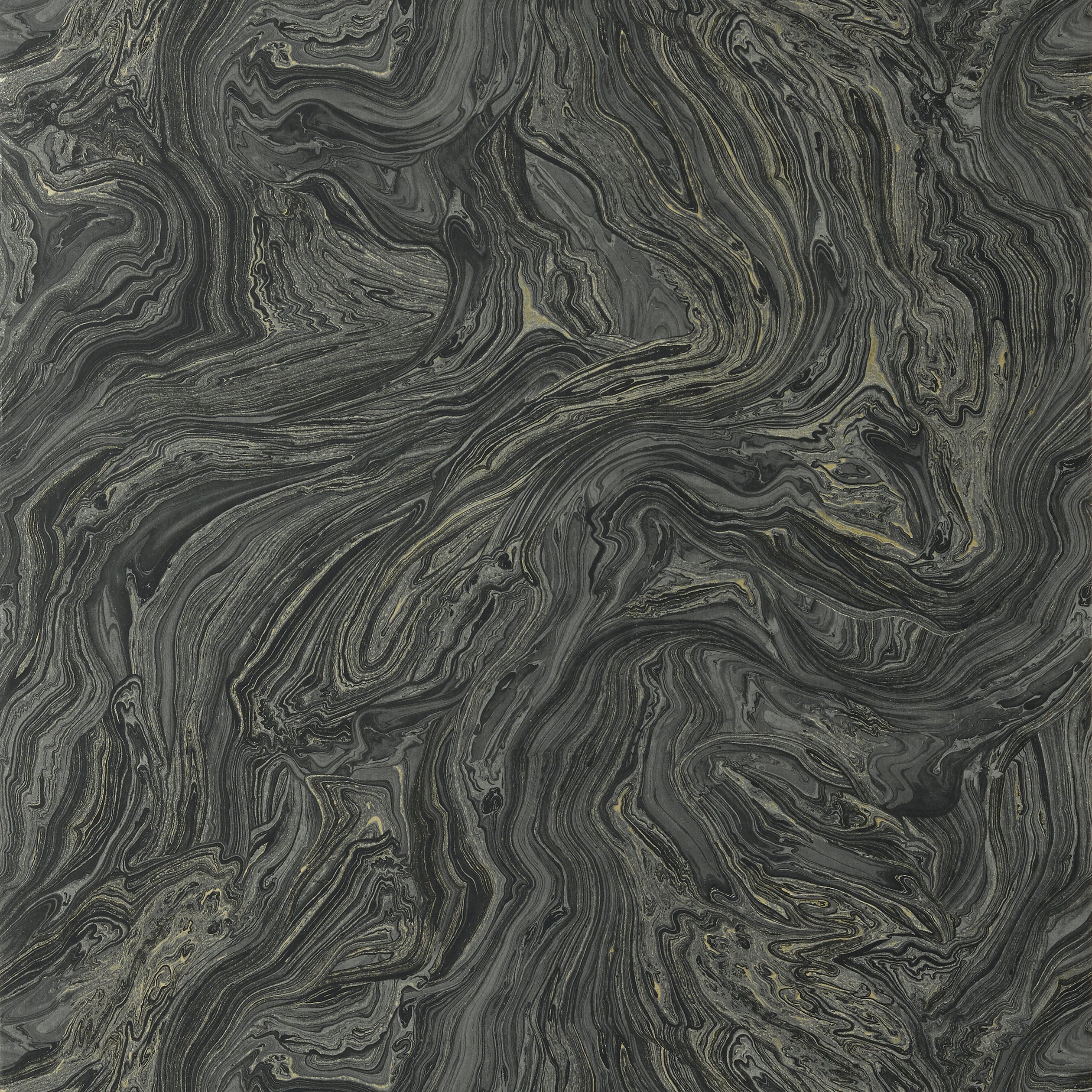 Venus wallpaper in black color - pattern number T85069 - by Thibaut in the Greenwood collection