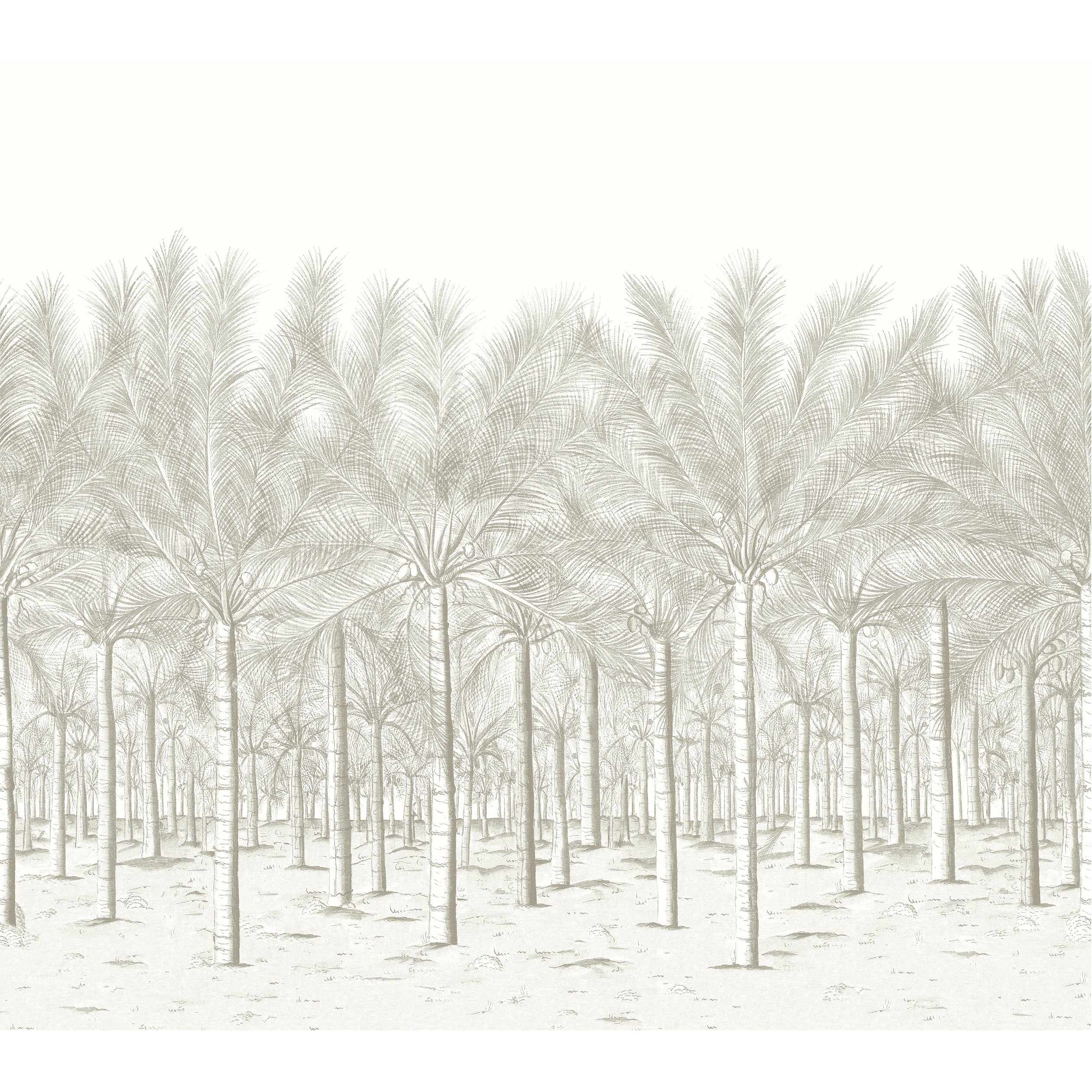 Palm Grove mural in beige color - pattern number TM13948 - by Thibaut in the Palm Grove collection