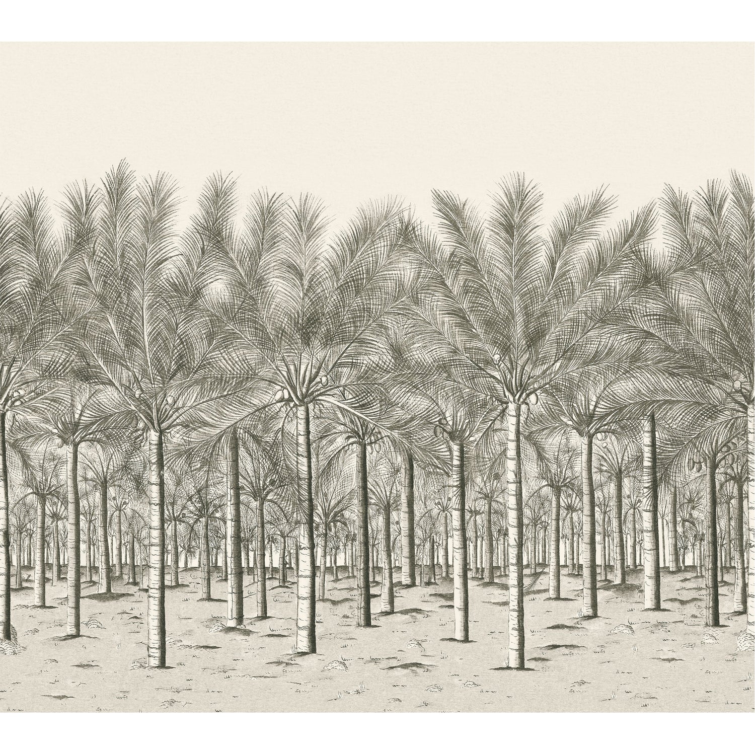 Palm Grove mural in black tea color - pattern number TM13950 - by Thibaut in the Palm Grove collection