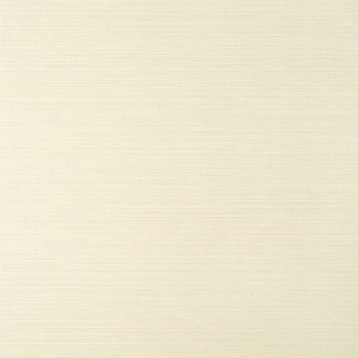 Luta Sisal wallpaper in off white and mist color - pattern number TWW14523 - by Thibaut in the Texture Resource Volume 8 collection