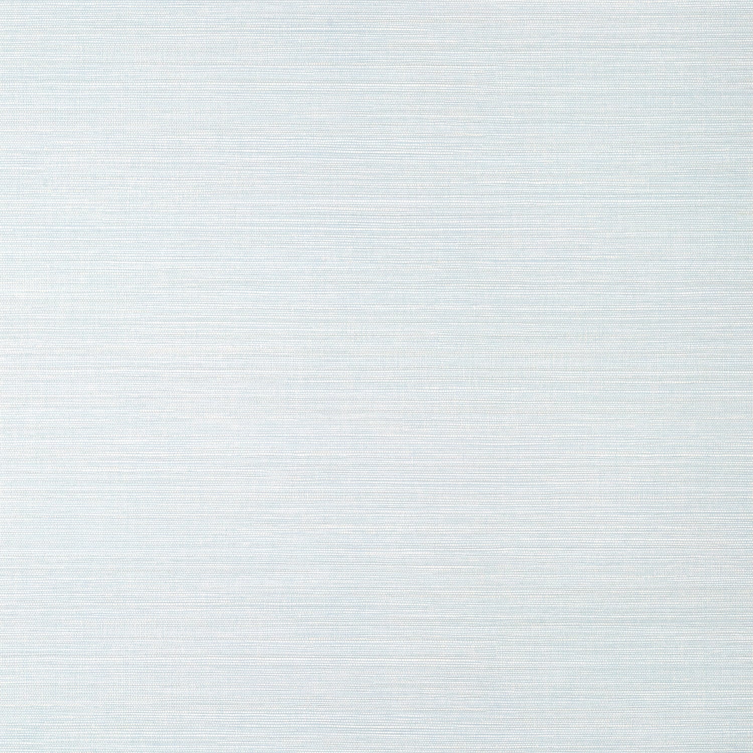 Luta Sisal wallpaper in ice color - pattern number TWW14527 - by Thibaut in the Texture Resource Volume 8 collection