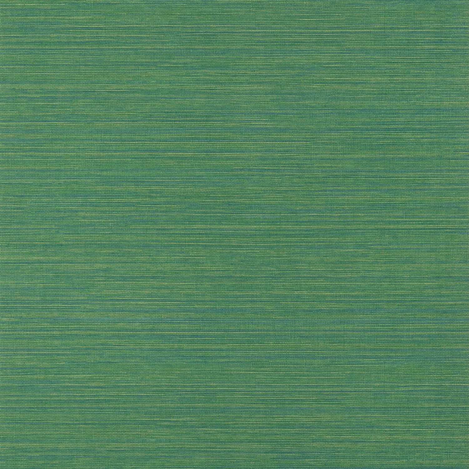 Luta Sisal wallpaper in emerald color - pattern number TWW14534 - by Thibaut in the Texture Resource Volume 8 collection