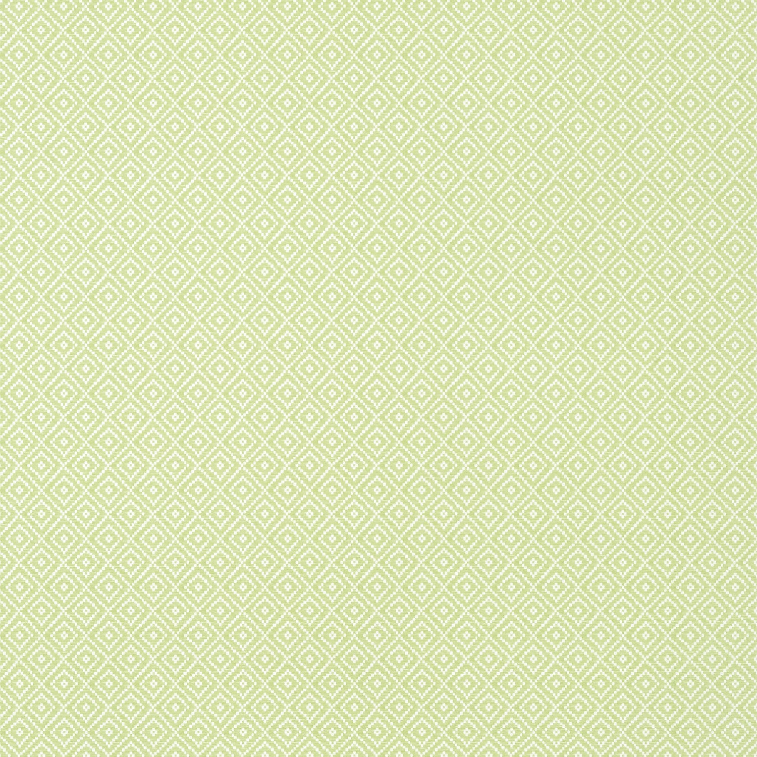 Rimba wallpaper in spring color - pattern number TWW14543 - by Thibaut in the Texture Resource Volume 8 collection