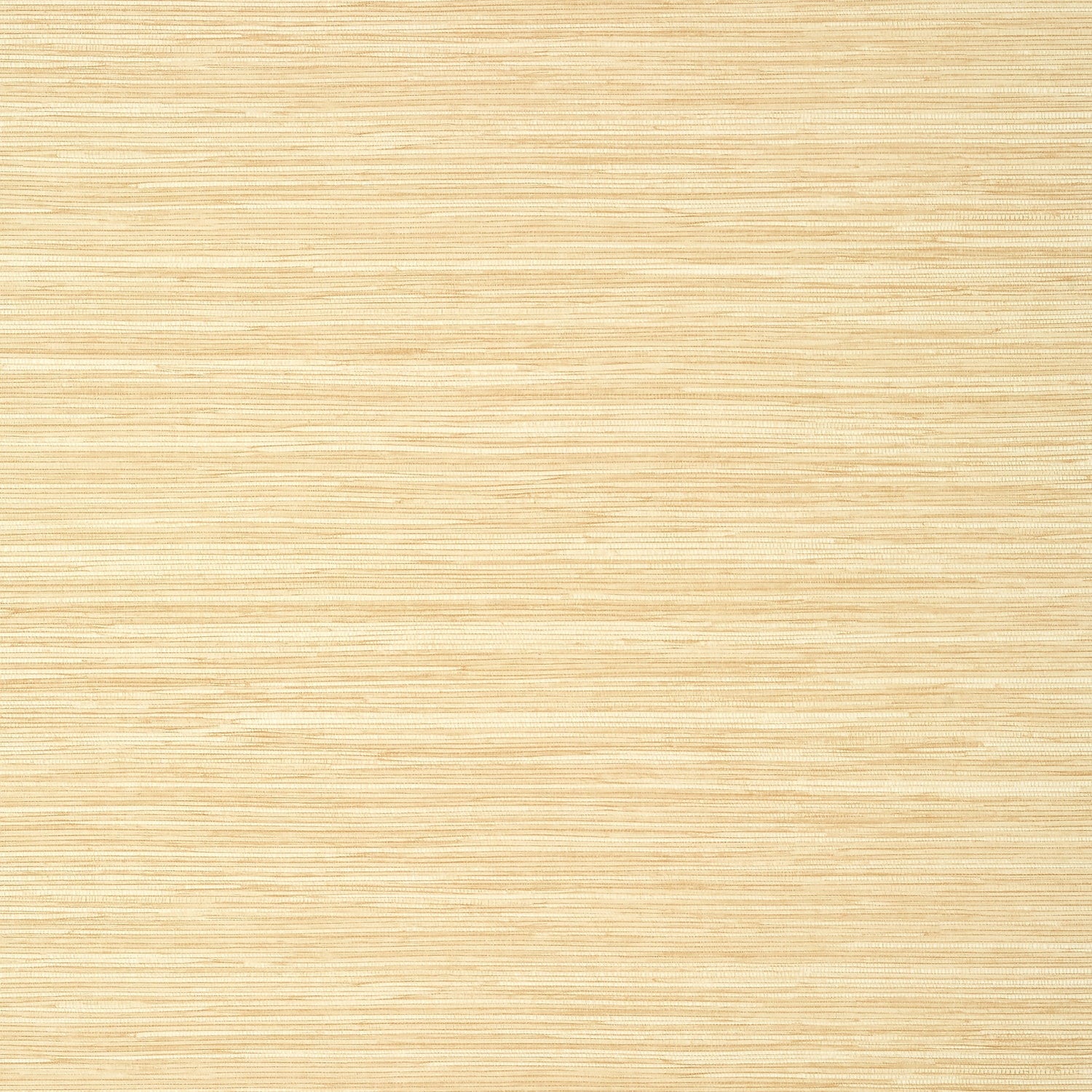 Normandy wallpaper in straw color - pattern number TWW14548 - by Thibaut in the Texture Resource Volume 8 collection