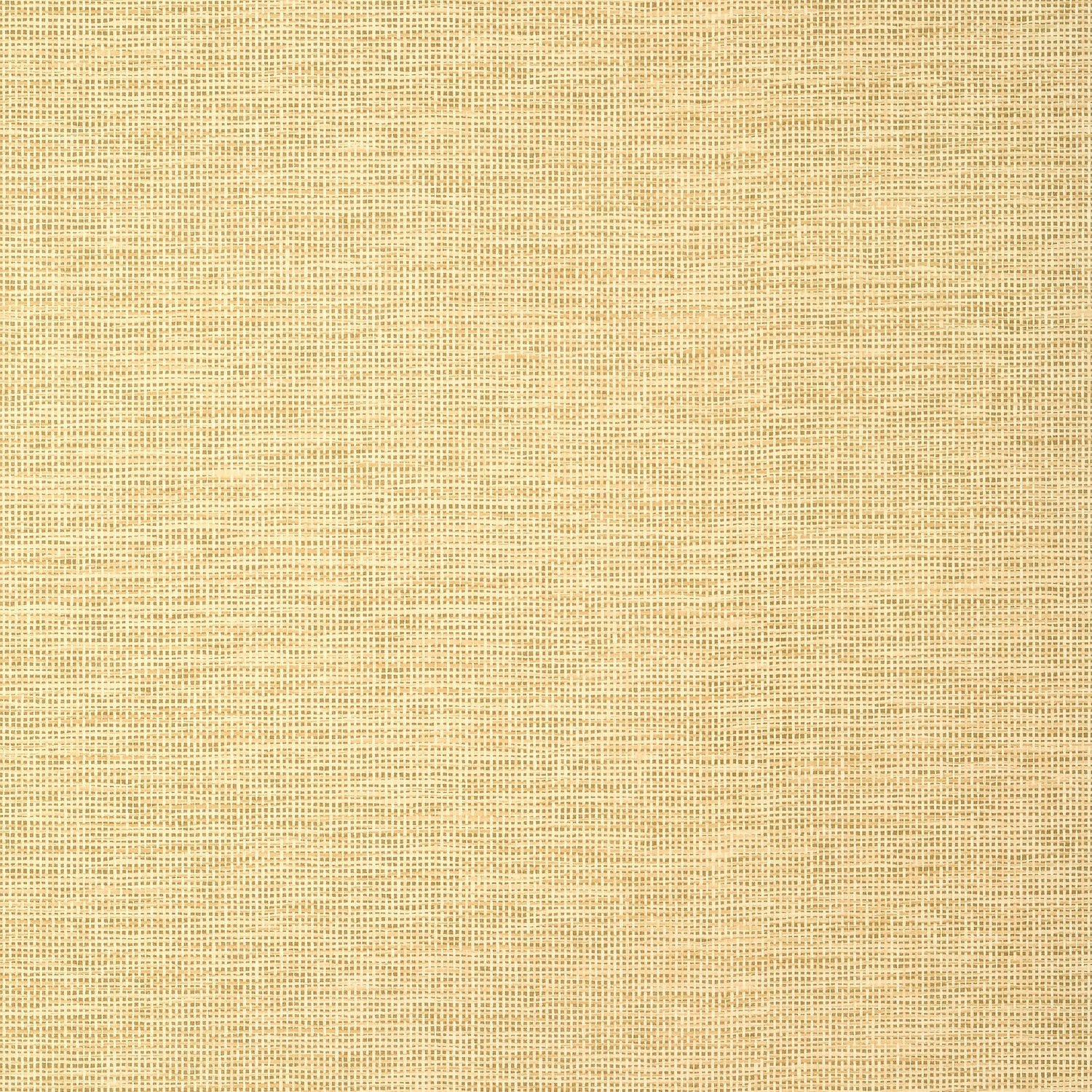 Spiro wallpaper in straw color - pattern number TWW14564 - by Thibaut in the Texture Resource Volume 8 collection