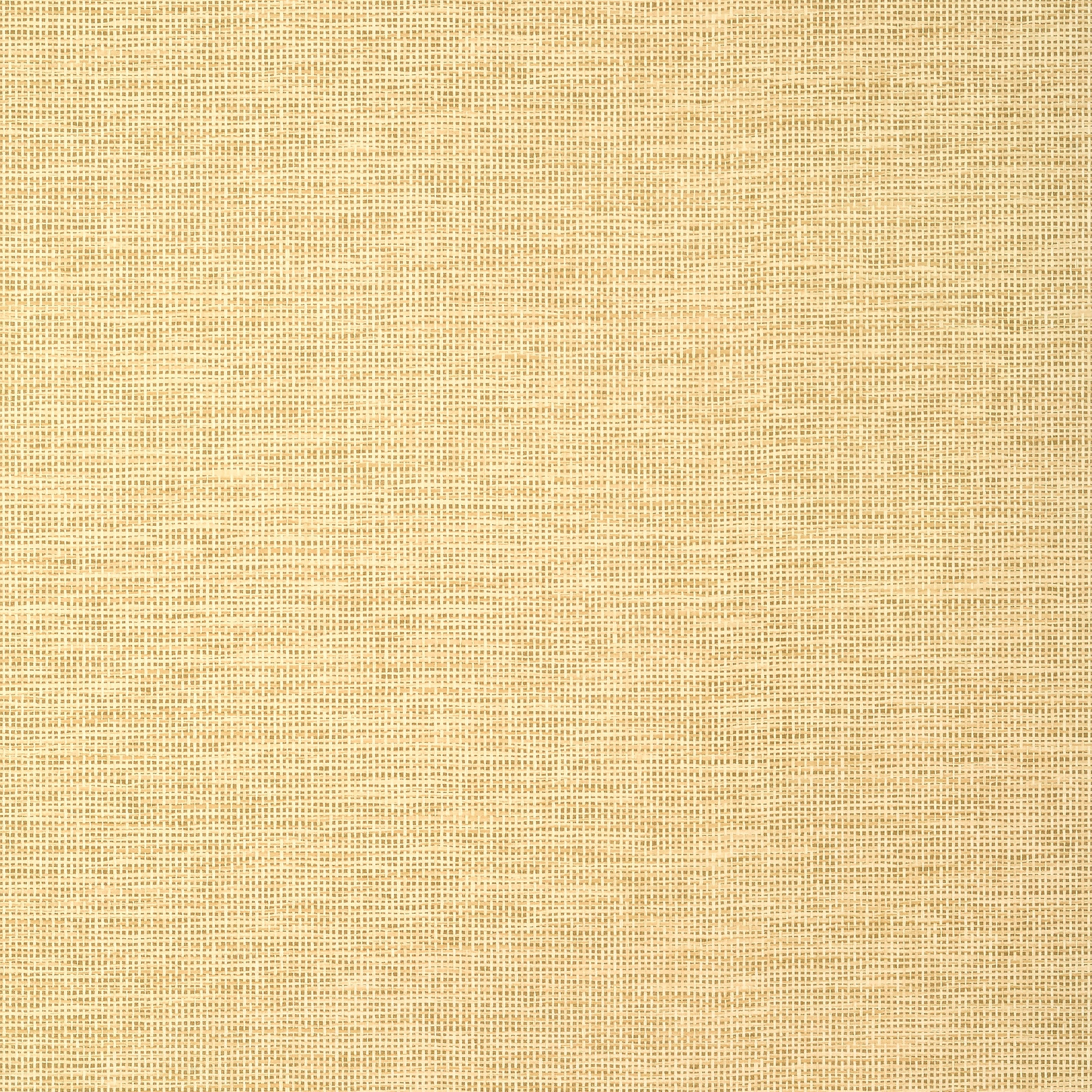 Spiro wallpaper in straw color - pattern number TWW14564 - by Thibaut in the Texture Resource Volume 8 collection