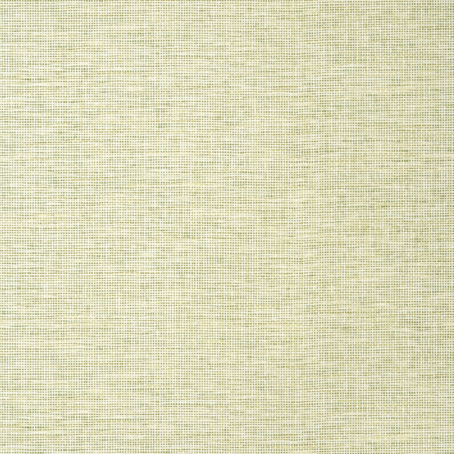 Spiro wallpaper in spring color - pattern number TWW14585 - by Thibaut in the Texture Resource Volume 8 collection