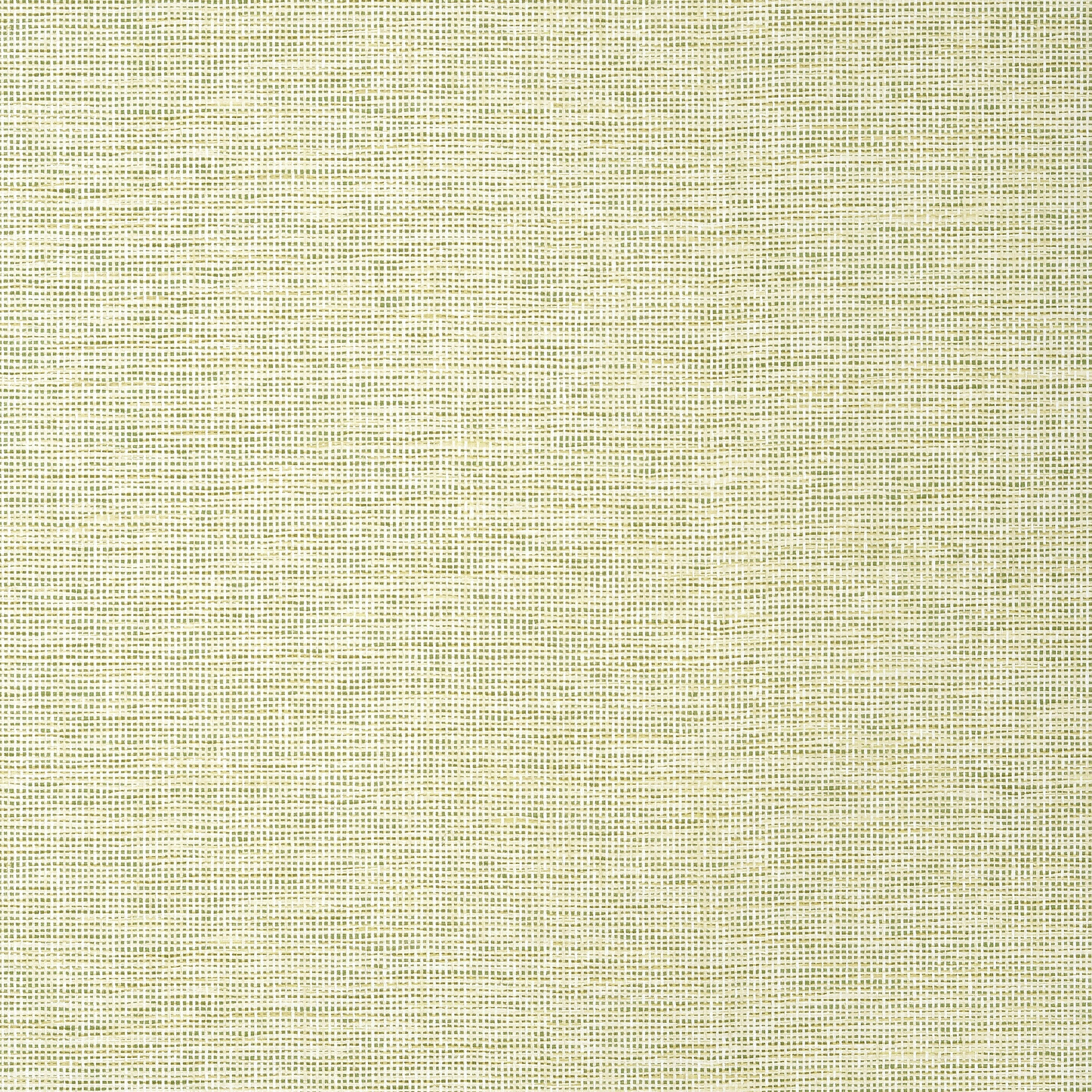 Spiro wallpaper in spring color - pattern number TWW14585 - by Thibaut in the Texture Resource Volume 8 collection