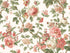 Beatrix wallpaper in coral and sage color - pattern number VP1351 - by Antonina Vella in the Jardin collection