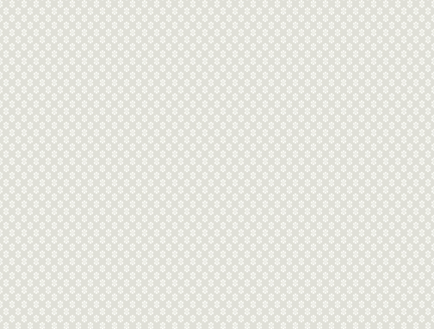 Brioni wallpaper in grey color - pattern number VP1395 - by Antonina Vella in the Jardin collection