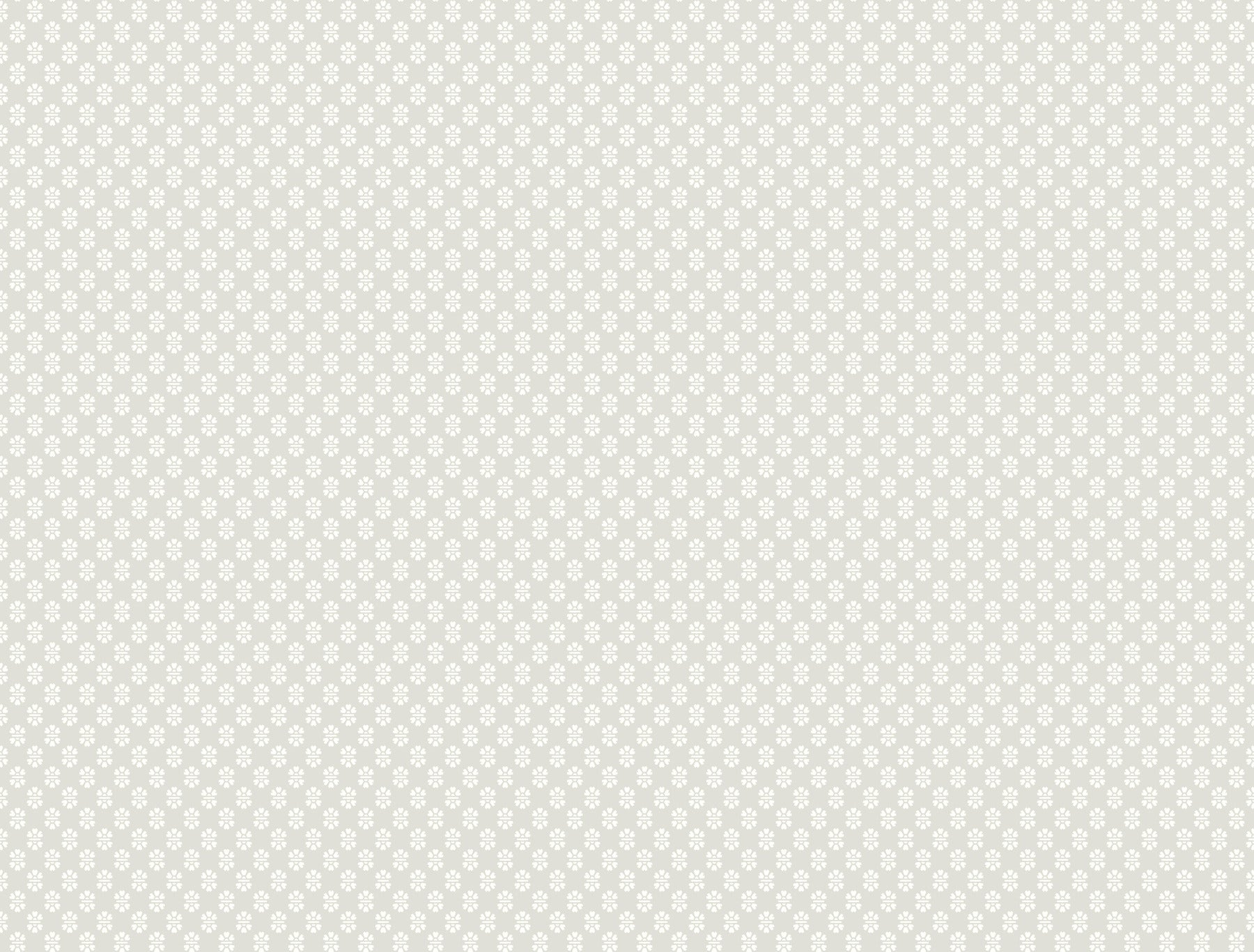 Brioni wallpaper in grey color - pattern number VP1395 - by Antonina Vella in the Jardin collection