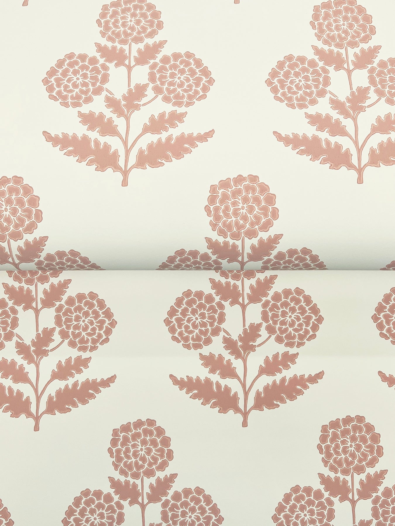 Souci wallpaper in rose color - pattern number VP1434 - by Antonina Vella in the Jardin collection