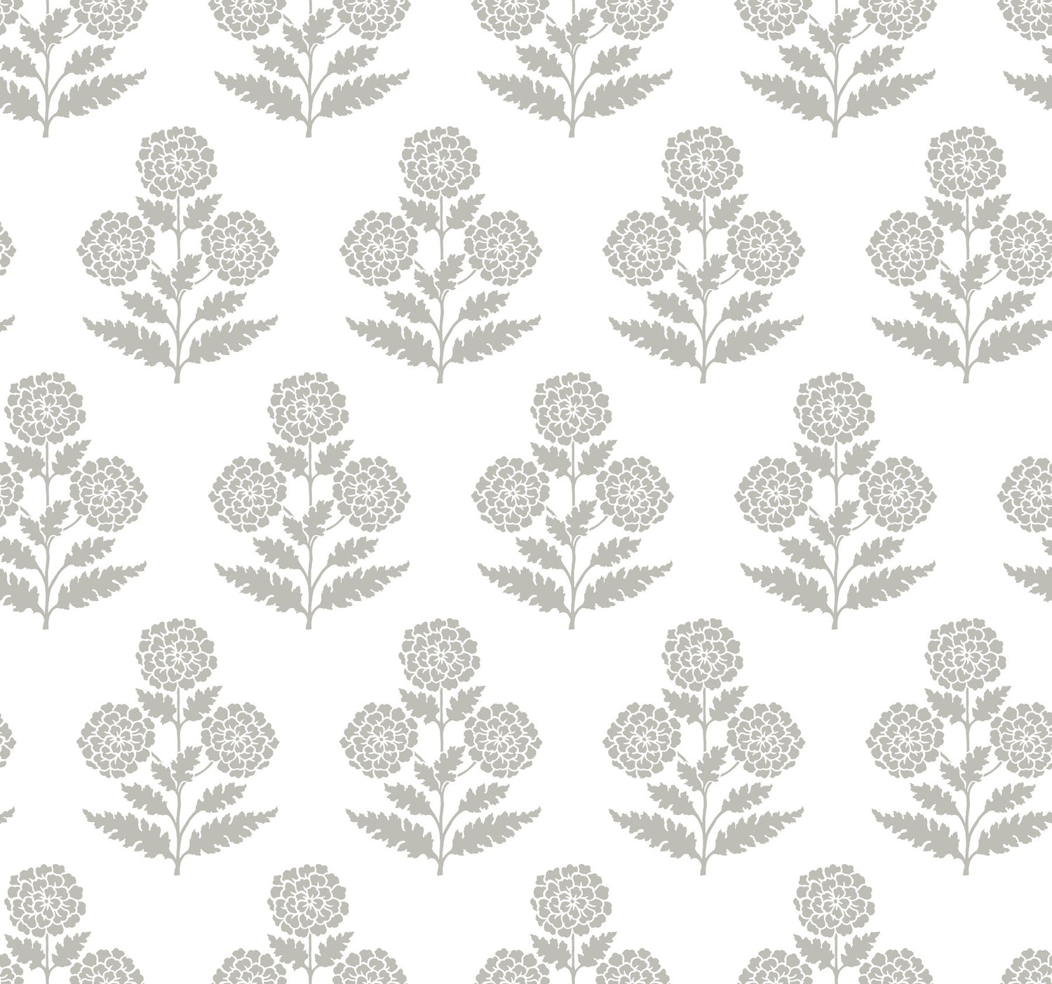 Souci wallpaper in charcoal color - pattern number VP1435 - by Antonina Vella in the Jardin collection