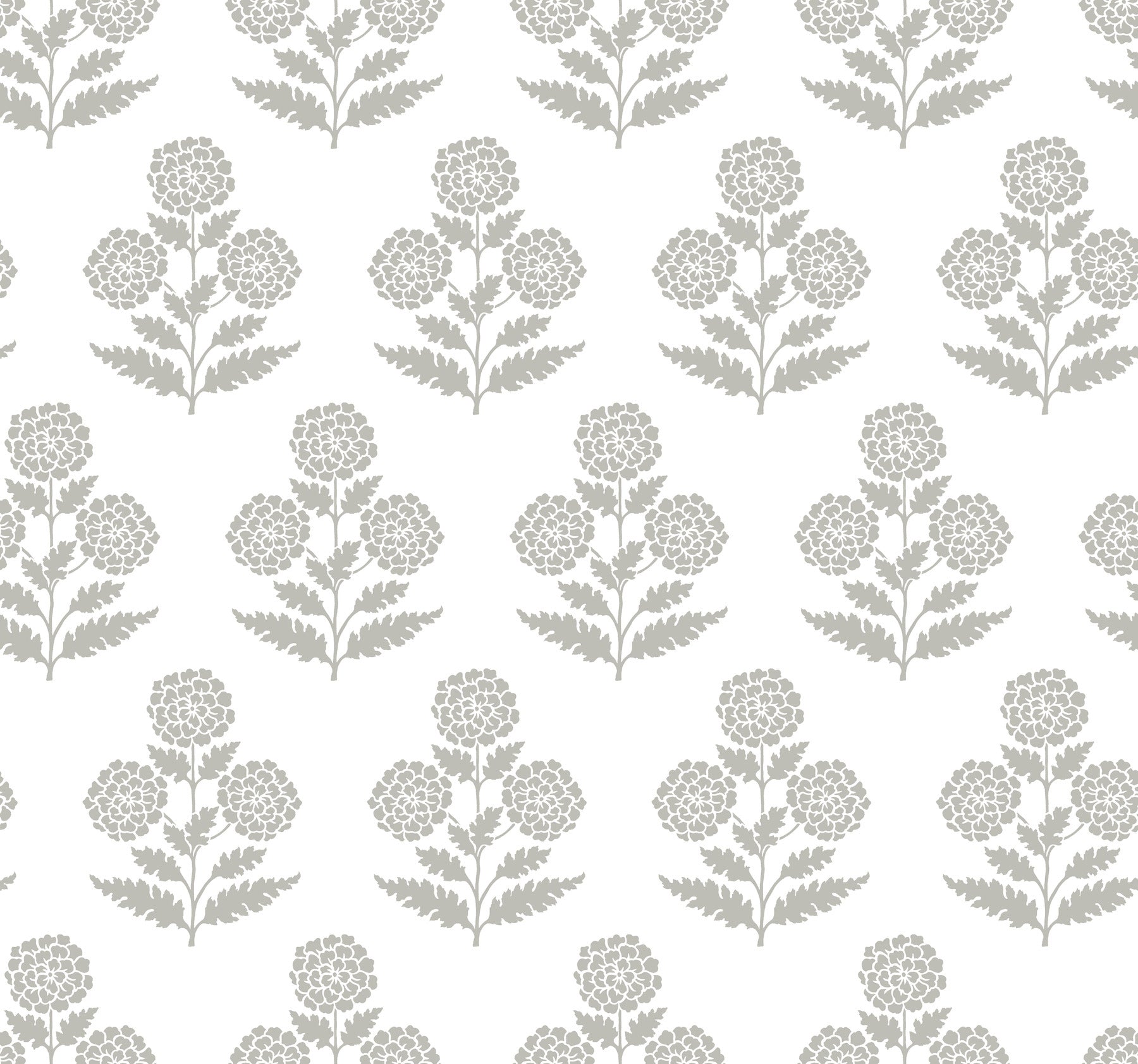 Souci wallpaper in charcoal color - pattern number VP1435 - by Antonina Vella in the Jardin collection