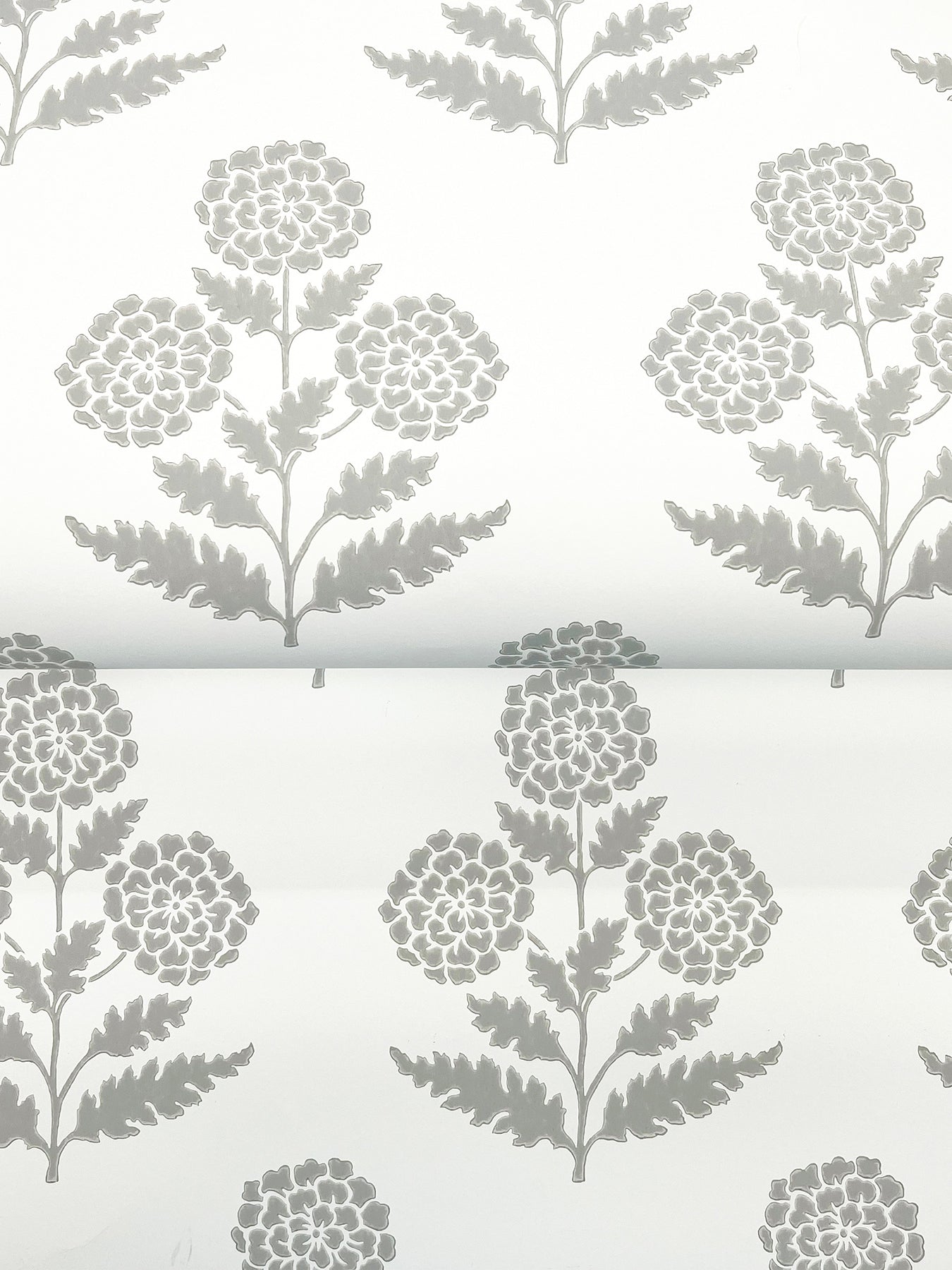 Souci wallpaper in charcoal color - pattern number VP1435 - by Antonina Vella in the Jardin collection