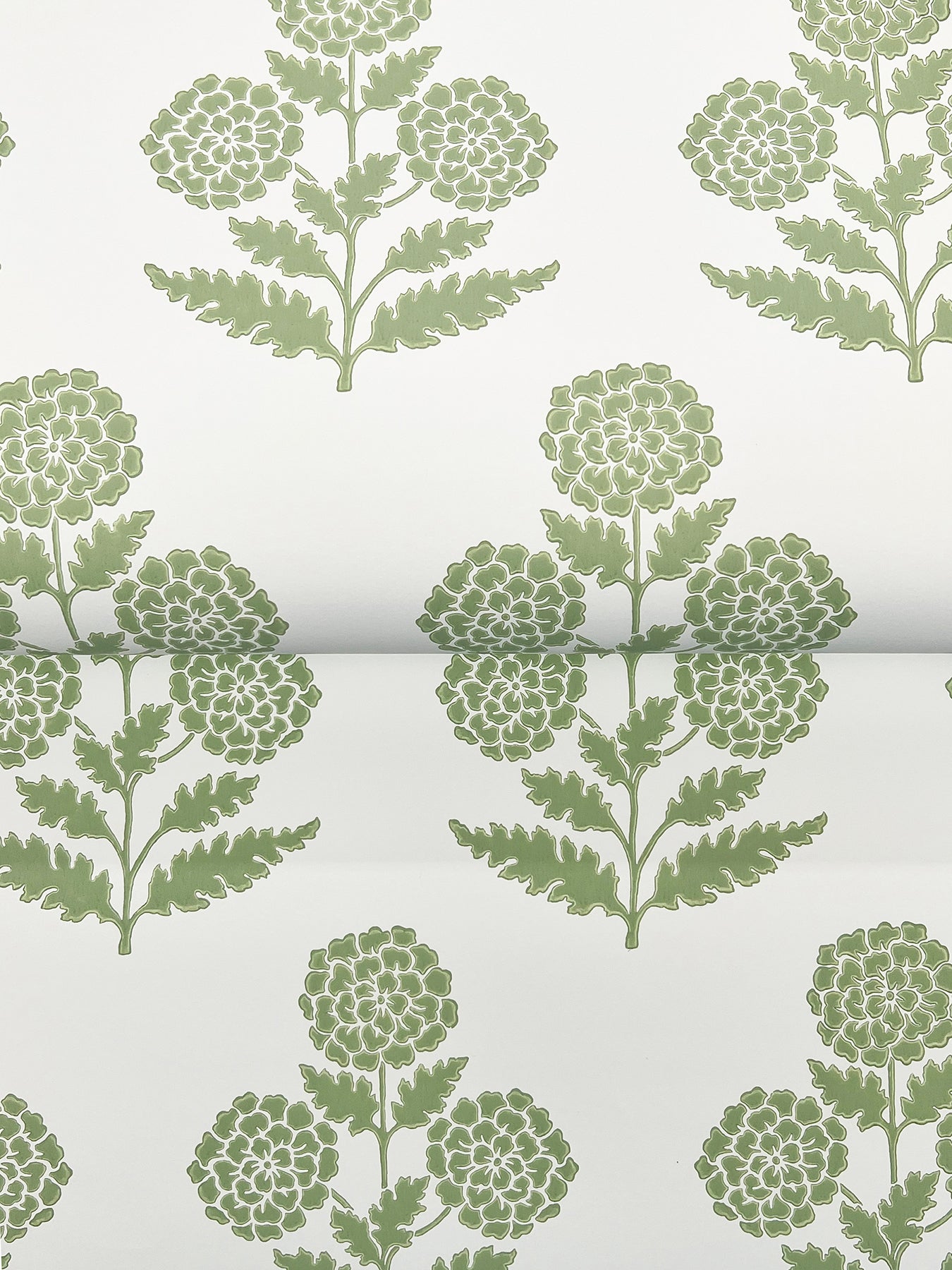 Souci wallpaper in green color - pattern number VP1436 - by Antonina Vella in the Jardin collection