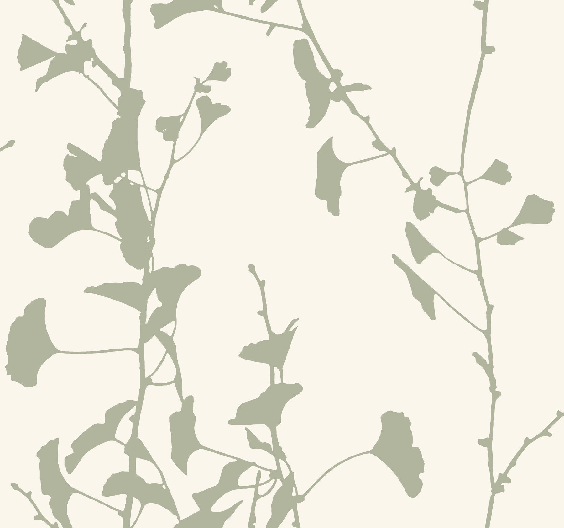 Ginkgo Silhouette wallpaper in sage color - pattern number VR1510 - by Ronald Redding in the Caviar collection