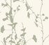 Ginkgo Silhouette wallpaper in sage color - pattern number VR1510 - by Ronald Redding in the Caviar collection