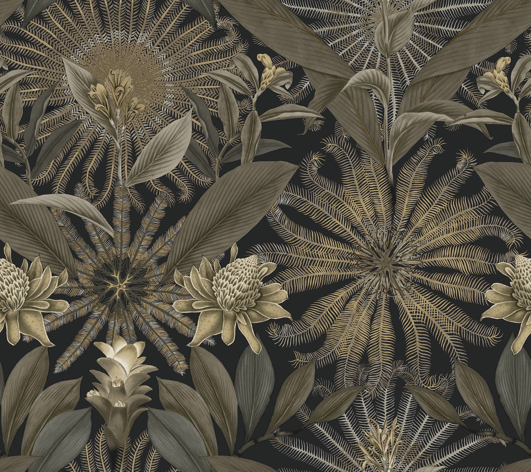 Enchanted Garden wallpaper in black color - pattern number VR1531 - by Ronald Redding in the Caviar collection