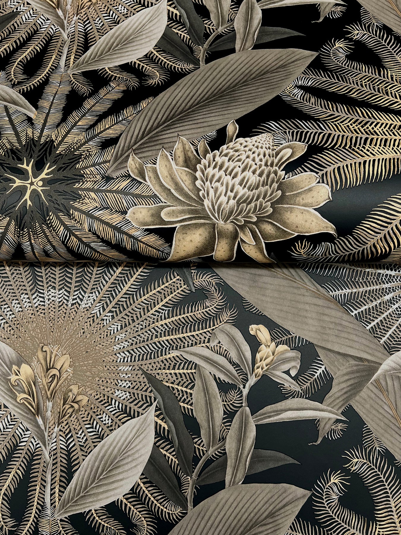 Enchanted Garden wallpaper in black color - pattern number VR1531 - by Ronald Redding in the Caviar collection