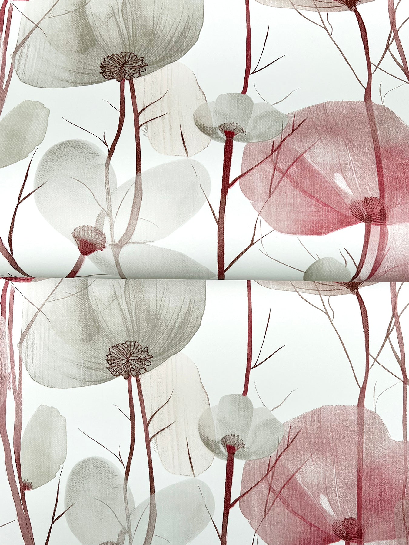 Cotswolds Poppies wallpaper in red color - pattern number VR1536 - by Ronald Redding in the Caviar collection