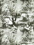 Brume wallpaper in ecru noir color - pattern number WH 000013307 - by Scalamandre in the  collection