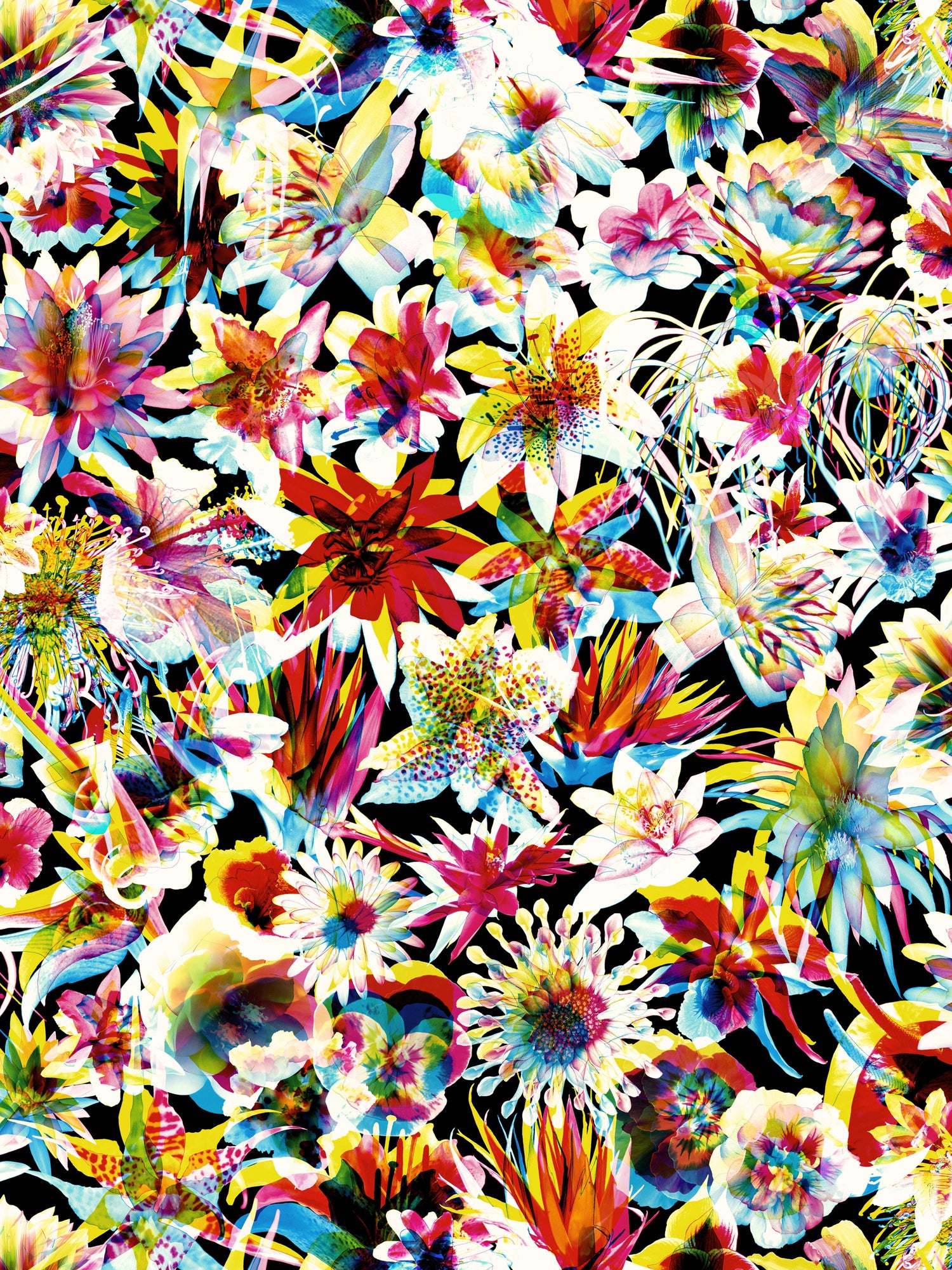 Grenada wallpaper in multico color - pattern number WH 000013339 - by Scalamandre in the  collection