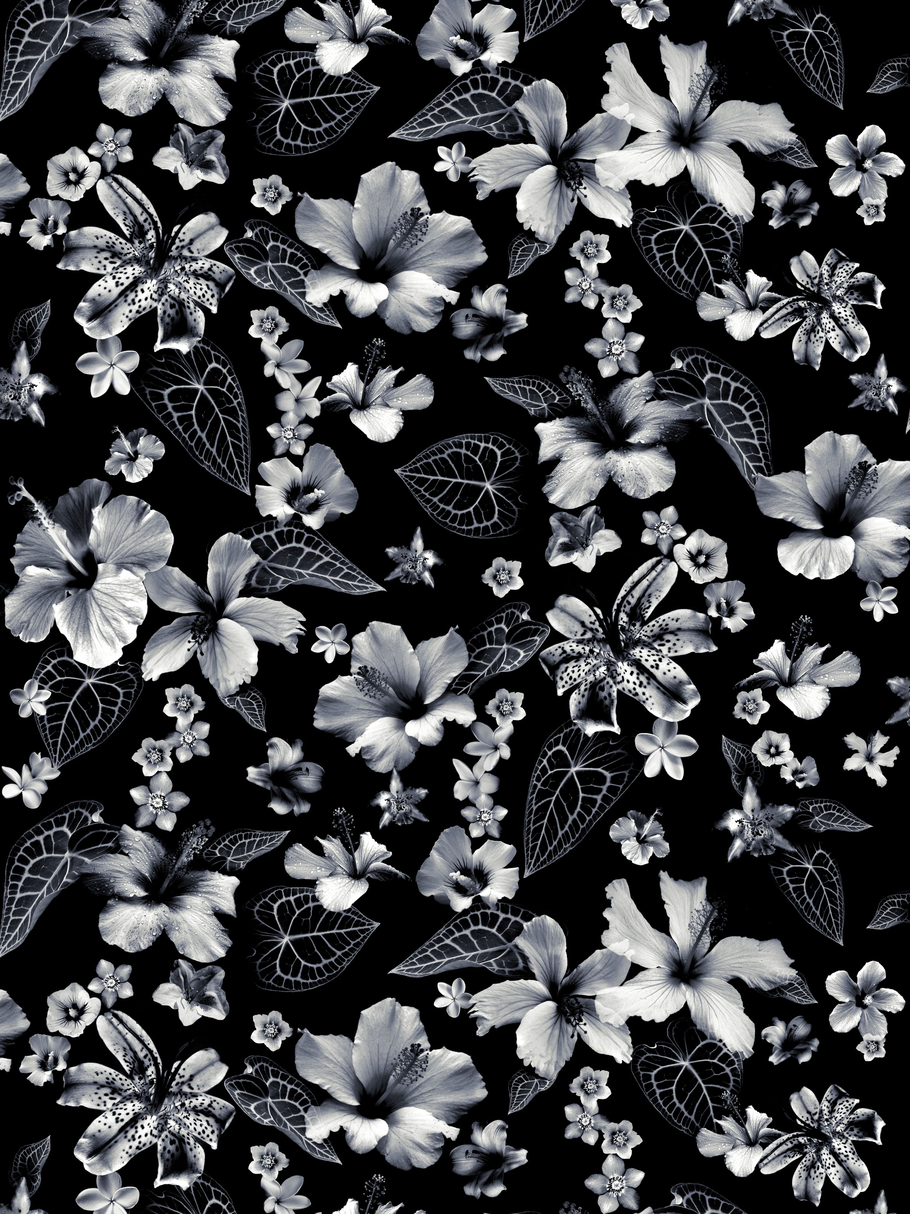 Cariacou wallpaper in noir color - pattern number WH 000013340 - by Scalamandre in the  collection