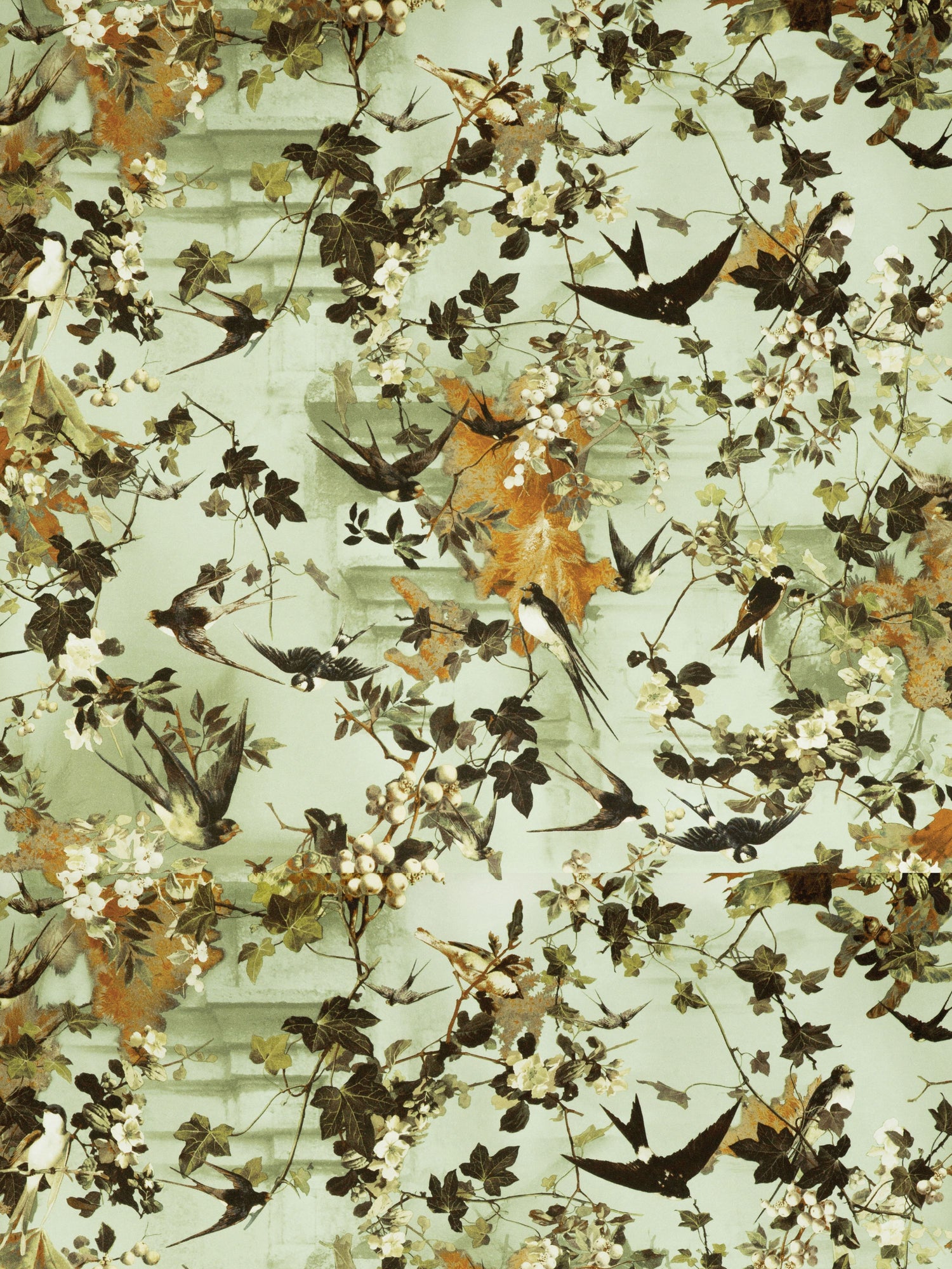 Hirondelles wallpaper in automne color - pattern number WH 000033306 - by Scalamandre in the  collection