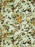 Hirondelles wallpaper in automne color - pattern number WH 000033306 - by Scalamandre in the  collection