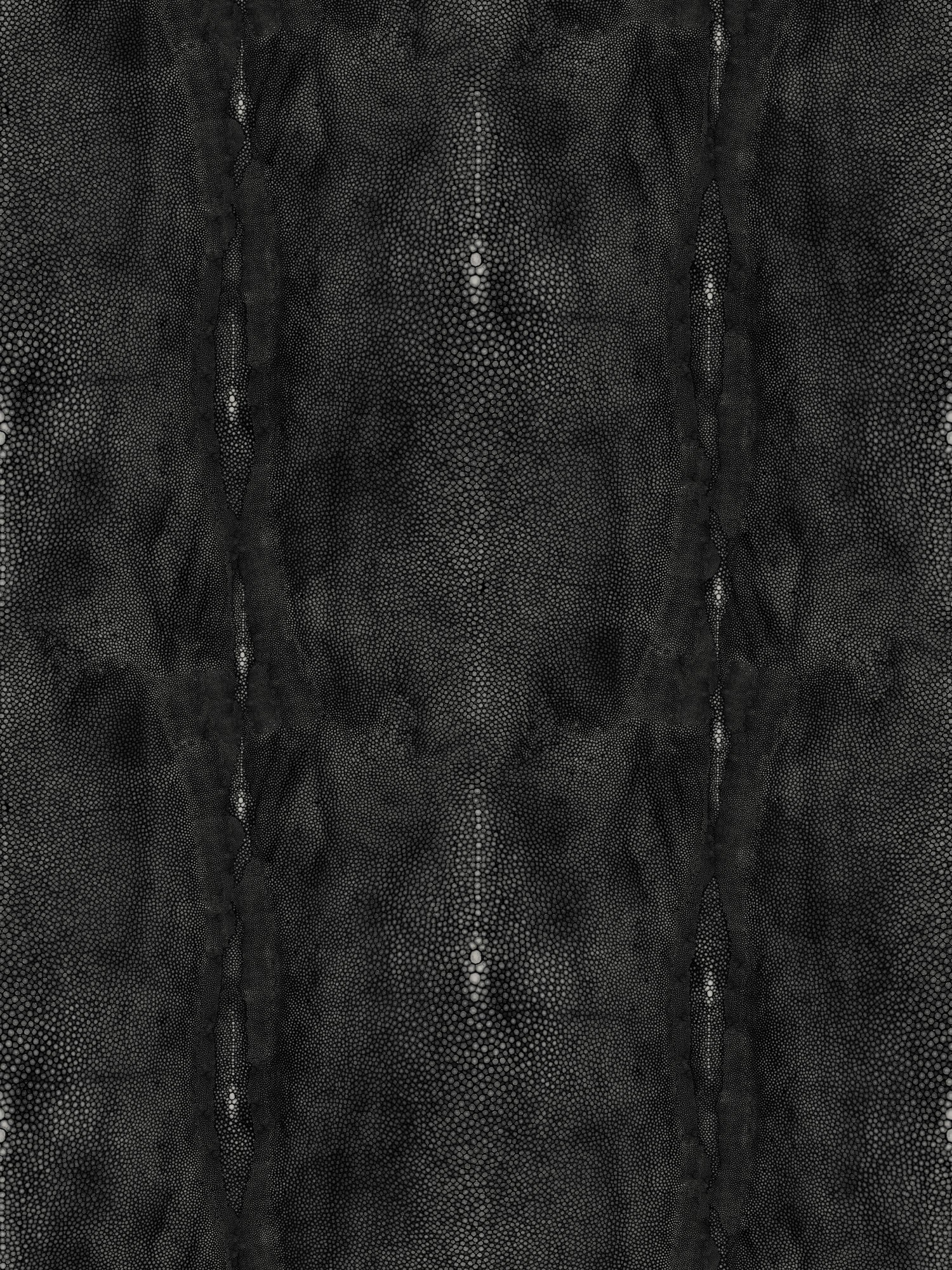 Precieux wallpaper in noir color - pattern number WH 000033326 - by Scalamandre in the  collection