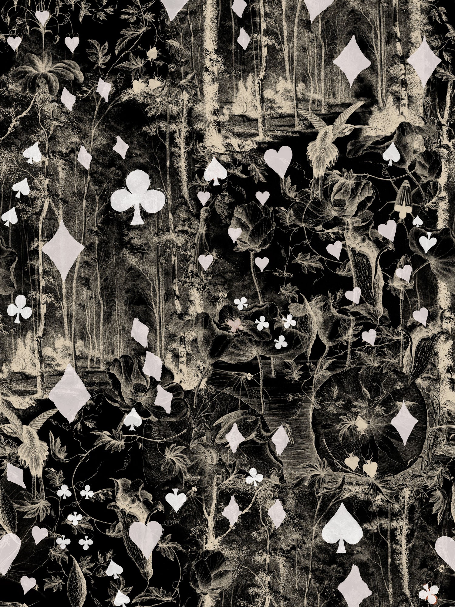 Beriba wallpaper in noir color - pattern number WH 000043333 - by Scalamandre in the  collection