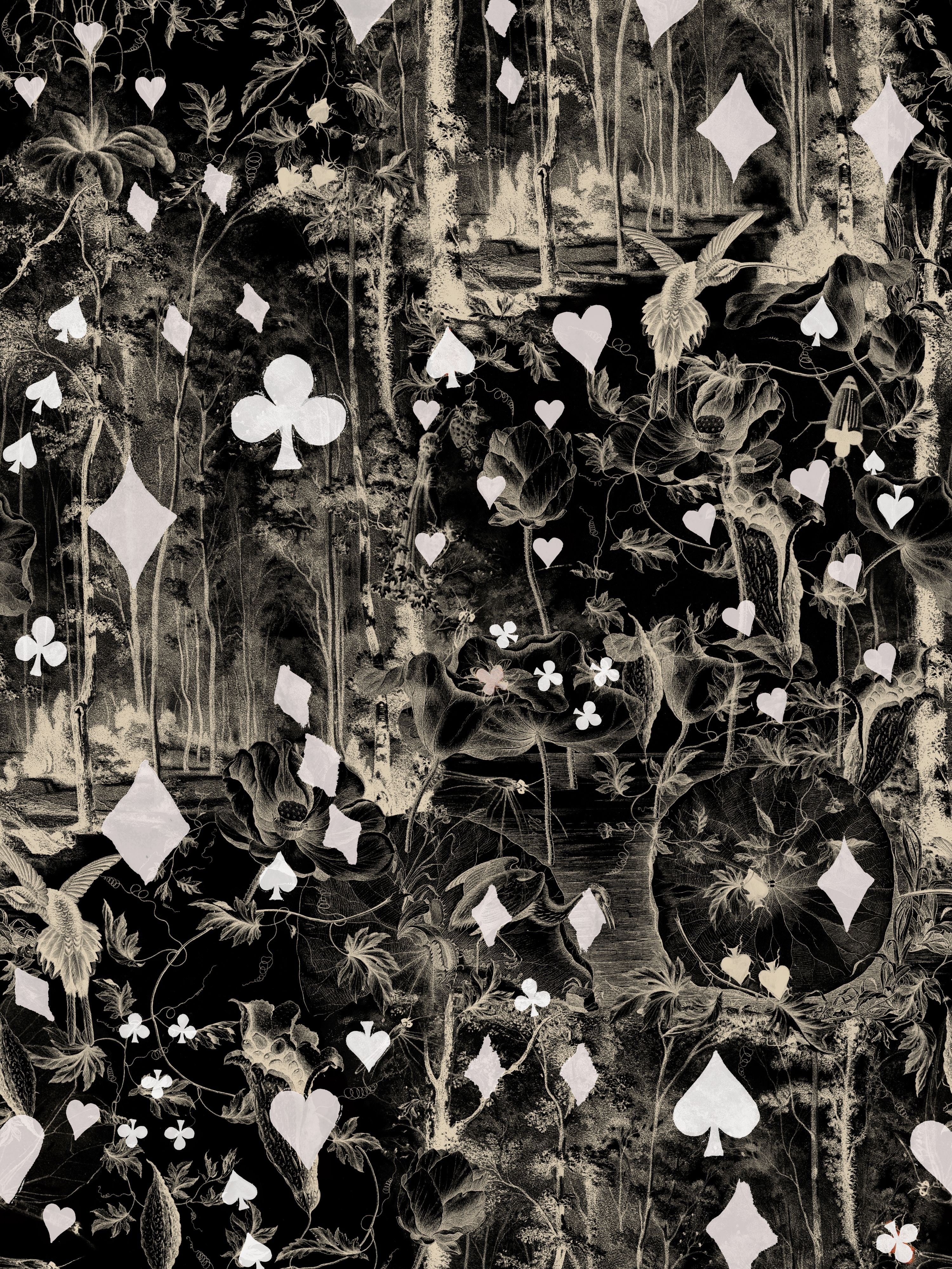 Beriba wallpaper in noir color - pattern number WH 000043333 - by Scalamandre in the  collection